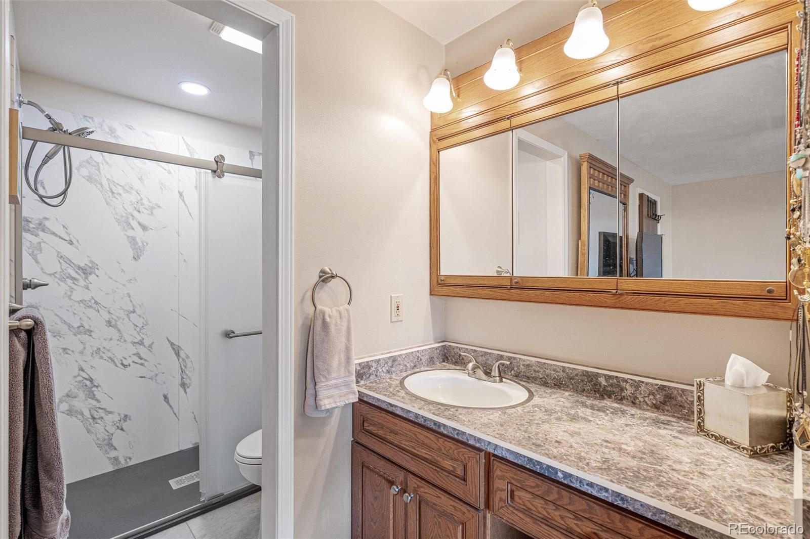 MLS Image #21 for 1064  xenon street,golden, Colorado