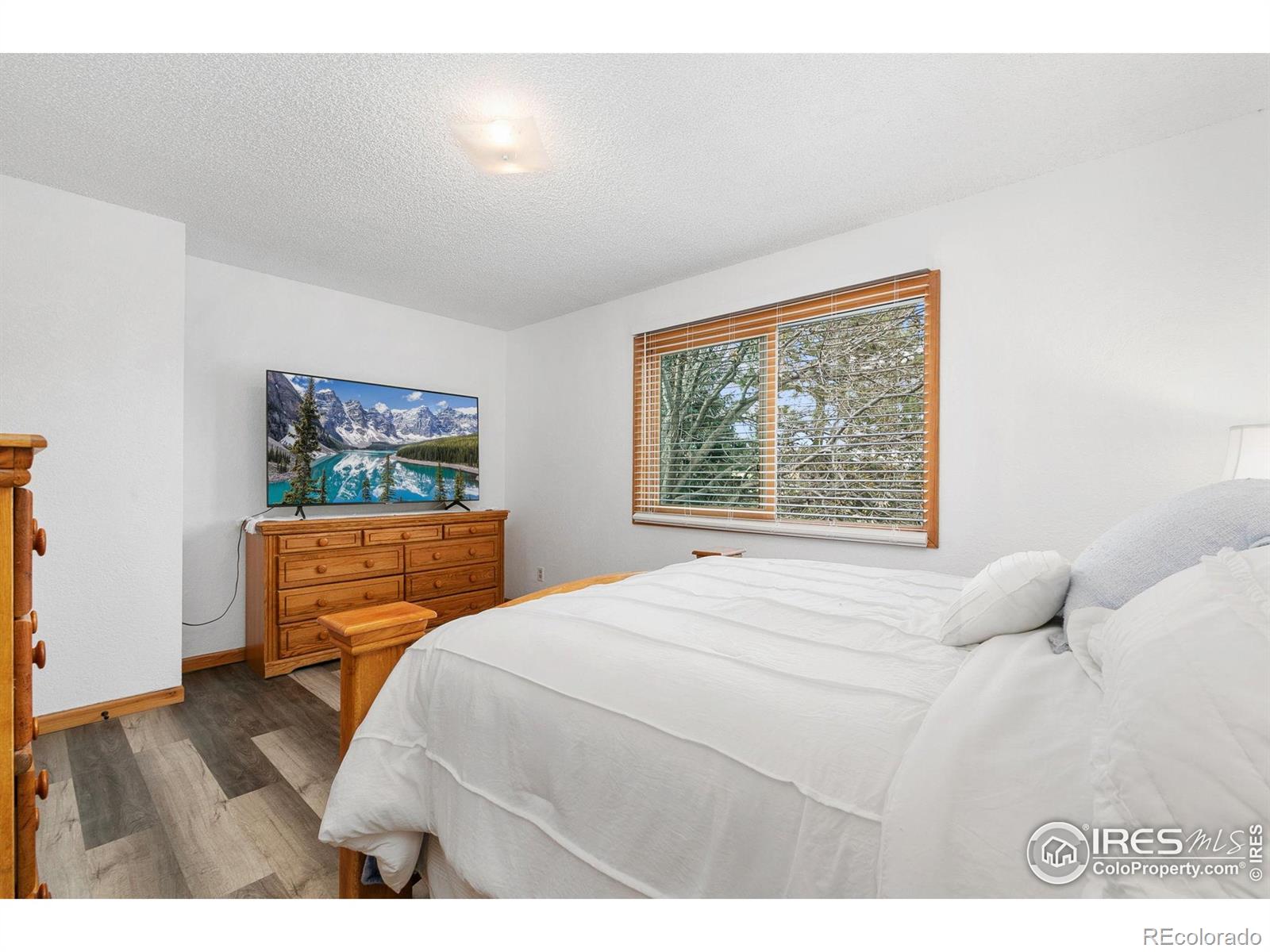 MLS Image #19 for 312  galaxy way,fort collins, Colorado