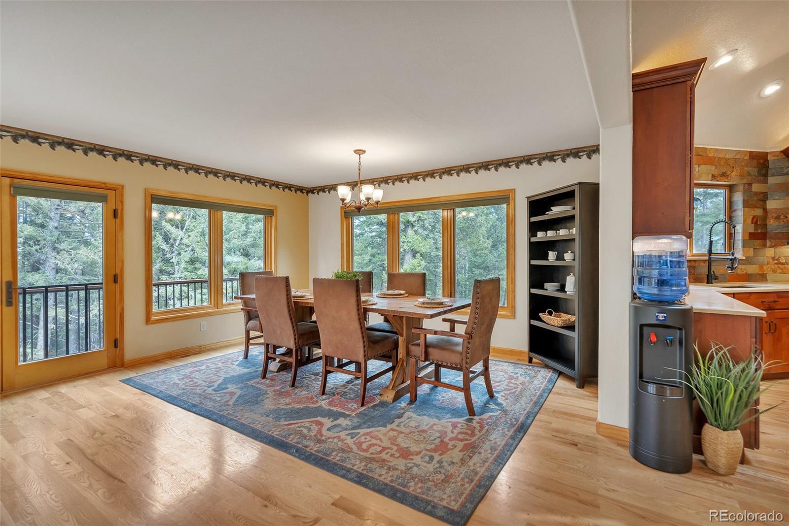 MLS Image #13 for 9590 s warhawk road,conifer, Colorado