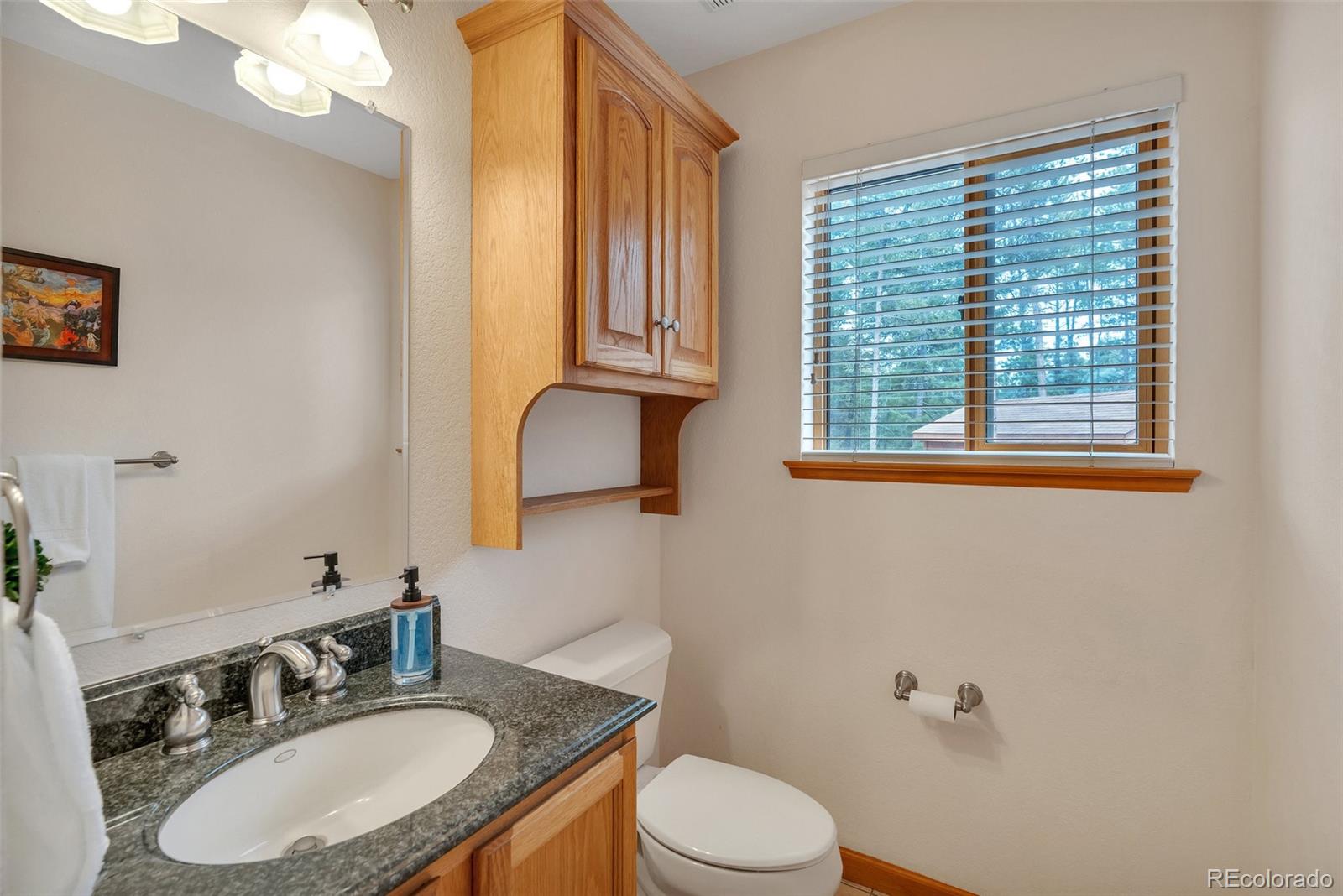 MLS Image #15 for 9590 s warhawk road,conifer, Colorado