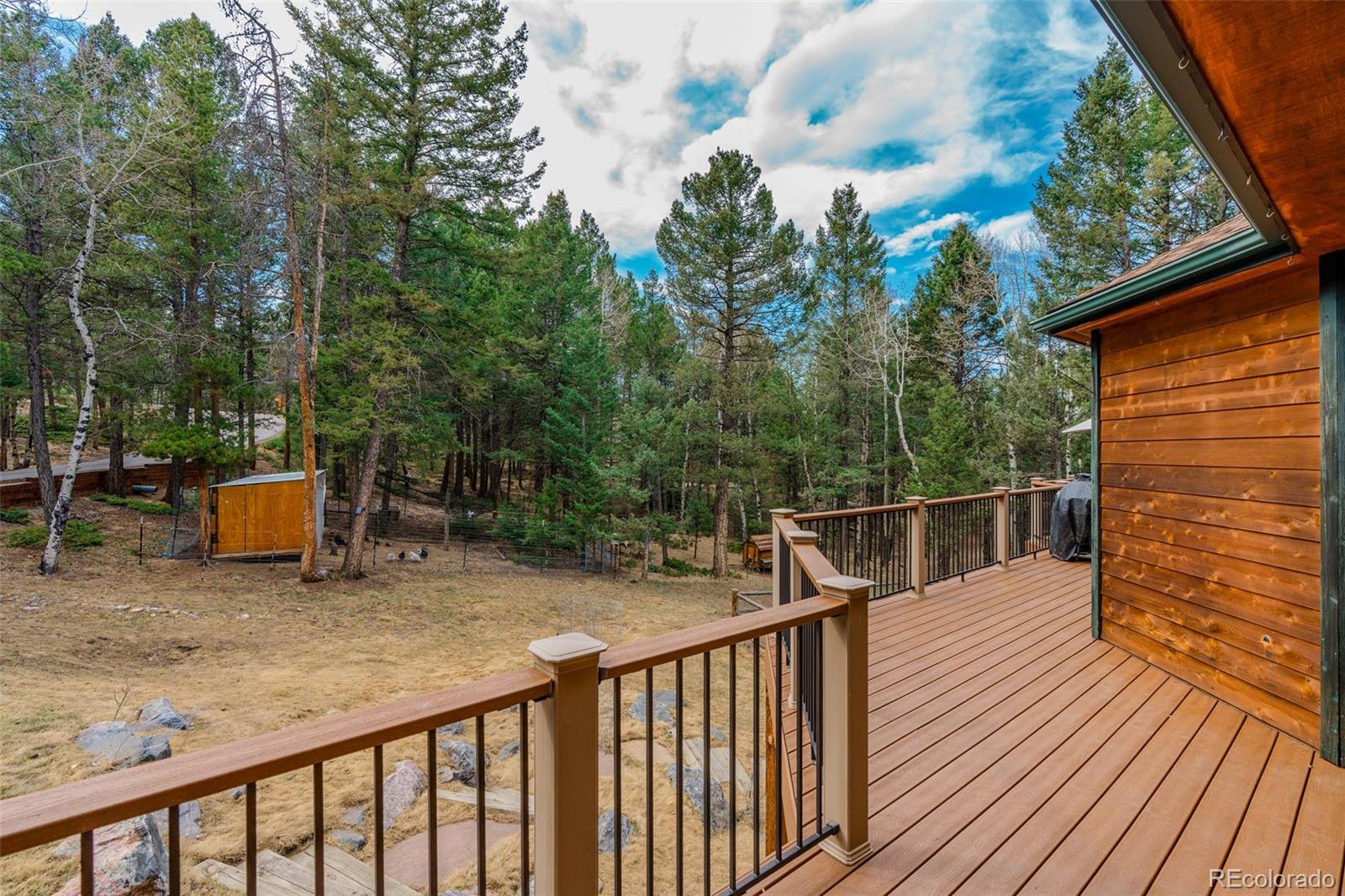 MLS Image #33 for 9590 s warhawk road,conifer, Colorado
