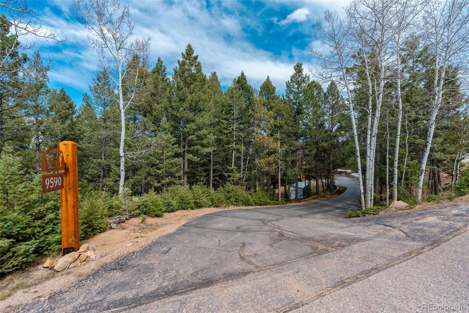 MLS Image #37 for 9590 s warhawk road,conifer, Colorado
