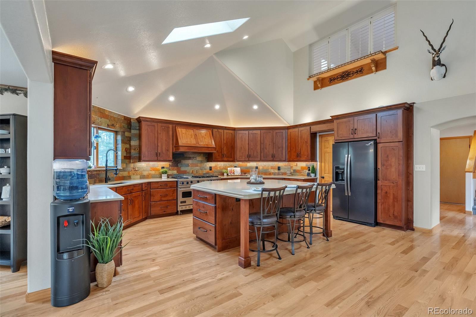 MLS Image #8 for 9590 s warhawk road,conifer, Colorado