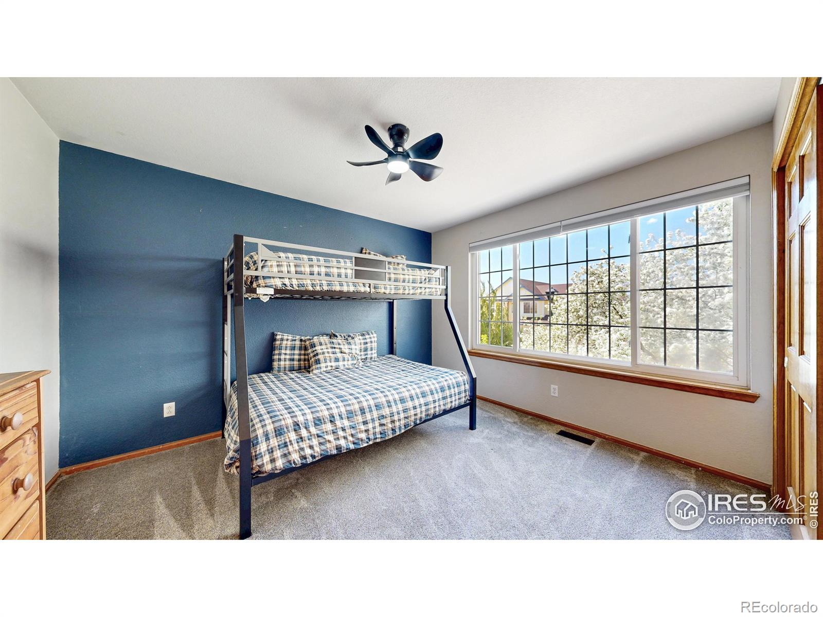 MLS Image #15 for 102  rock bridge court,windsor, Colorado