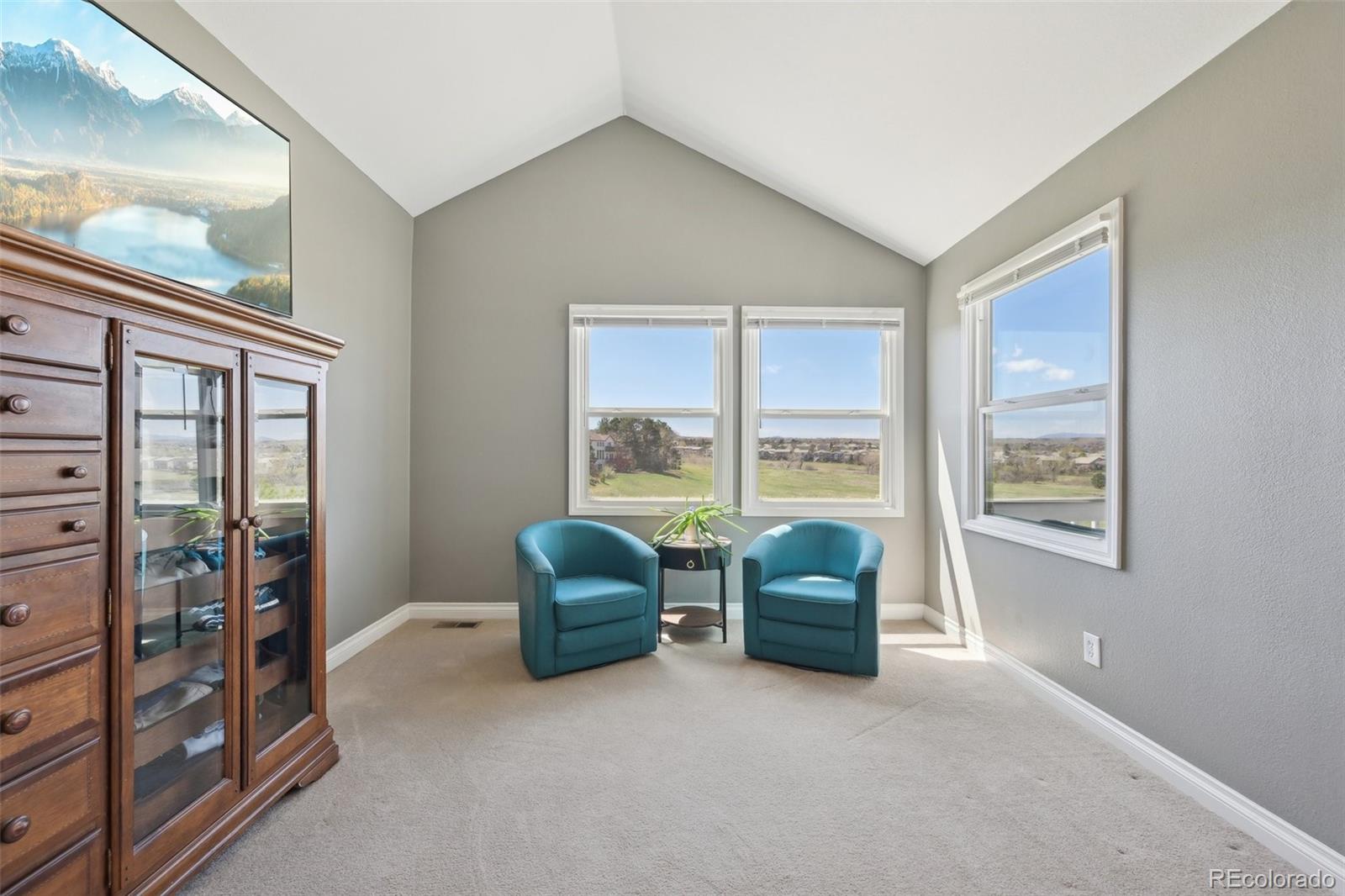 MLS Image #22 for 9977  falcon creek drive,highlands ranch, Colorado