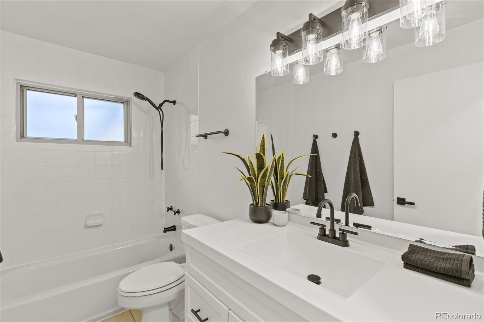 MLS Image #27 for 1327 e 108th place,northglenn, Colorado