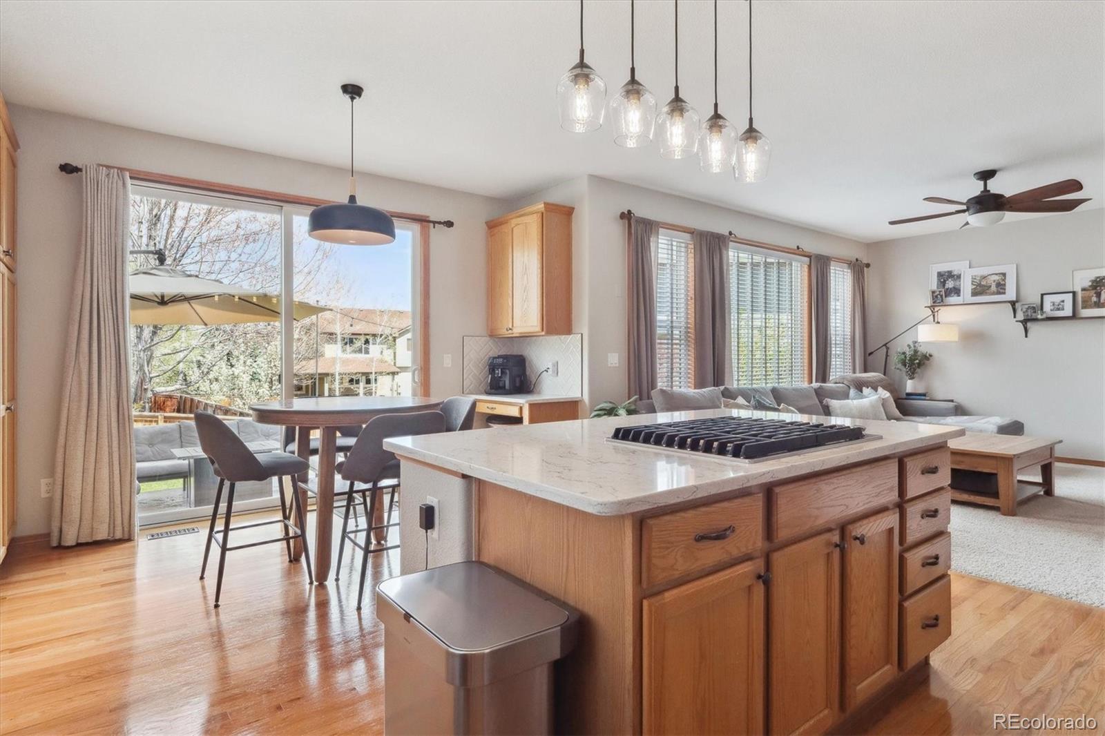 MLS Image #13 for 9375 s hoyt court,littleton, Colorado