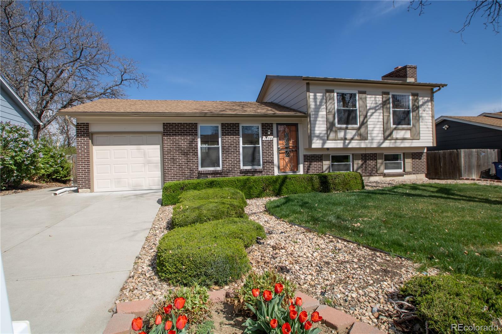 MLS Image #0 for 1838  cedar street,broomfield, Colorado