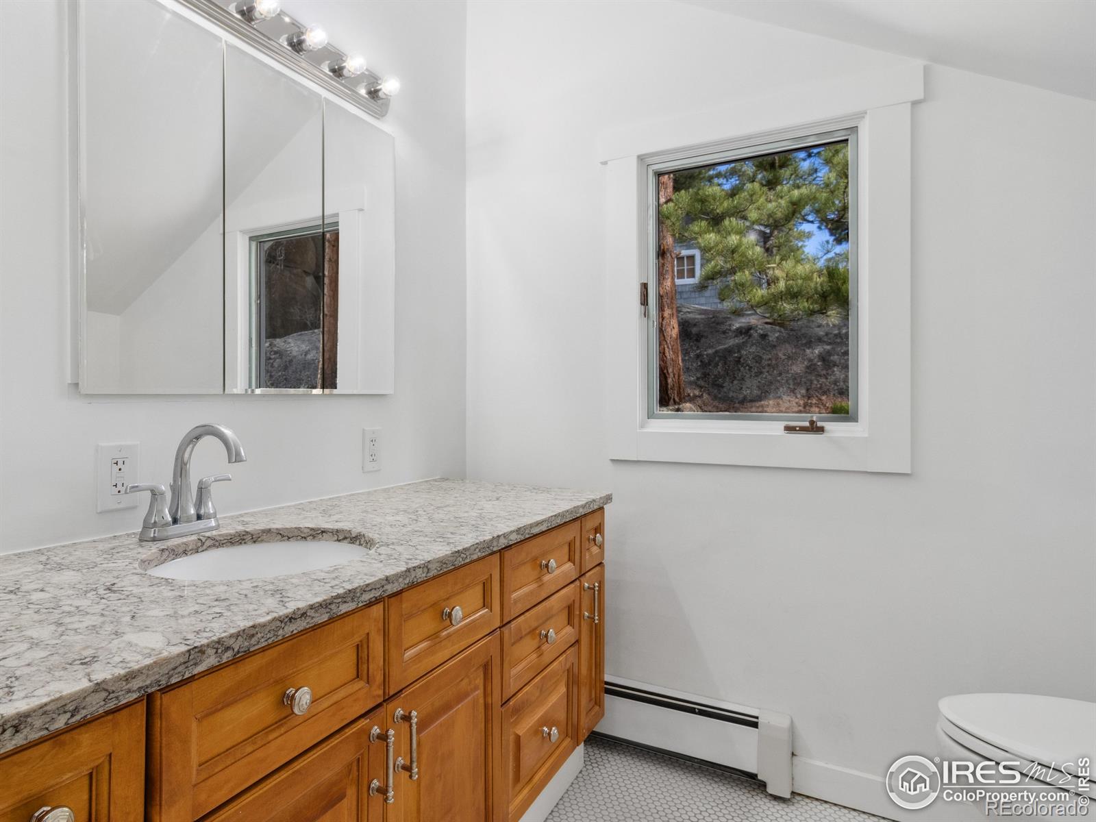 MLS Image #19 for 821  big horn drive,estes park, Colorado