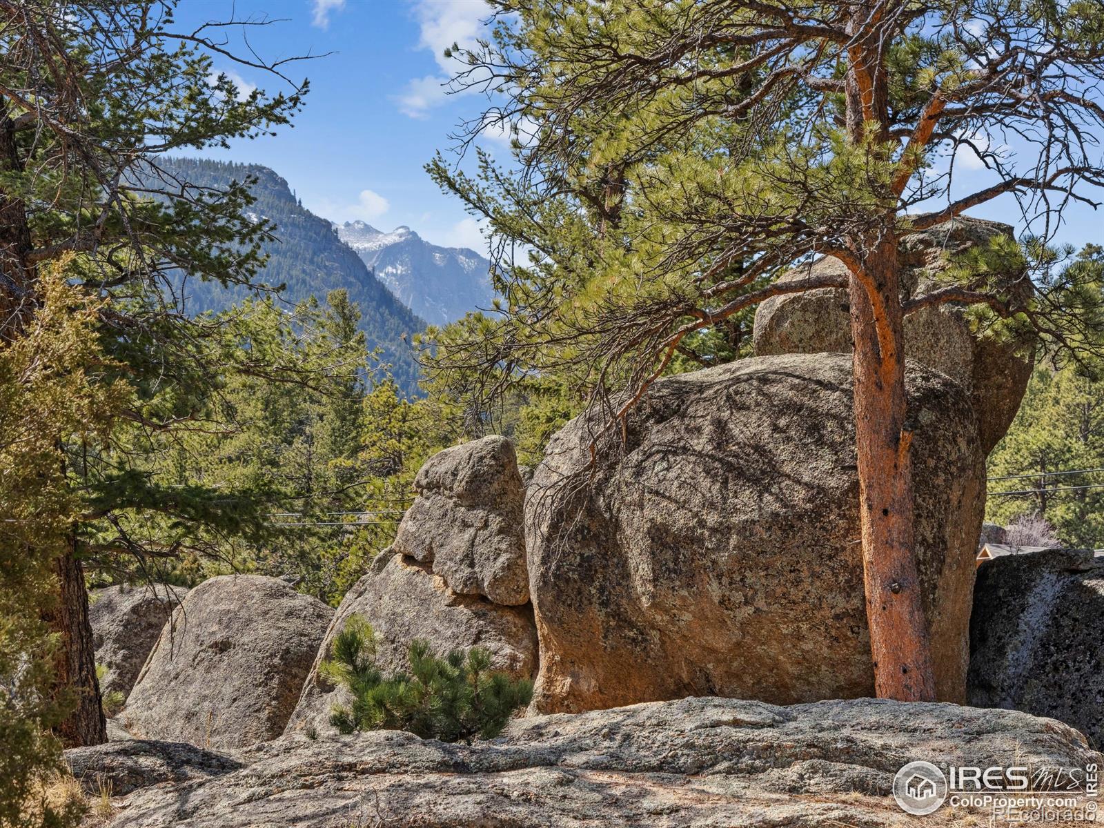 MLS Image #2 for 821  big horn drive,estes park, Colorado