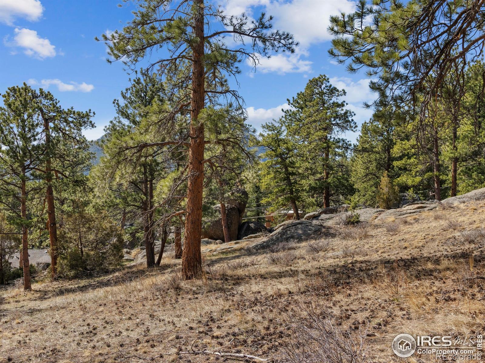 MLS Image #25 for 821  big horn drive,estes park, Colorado