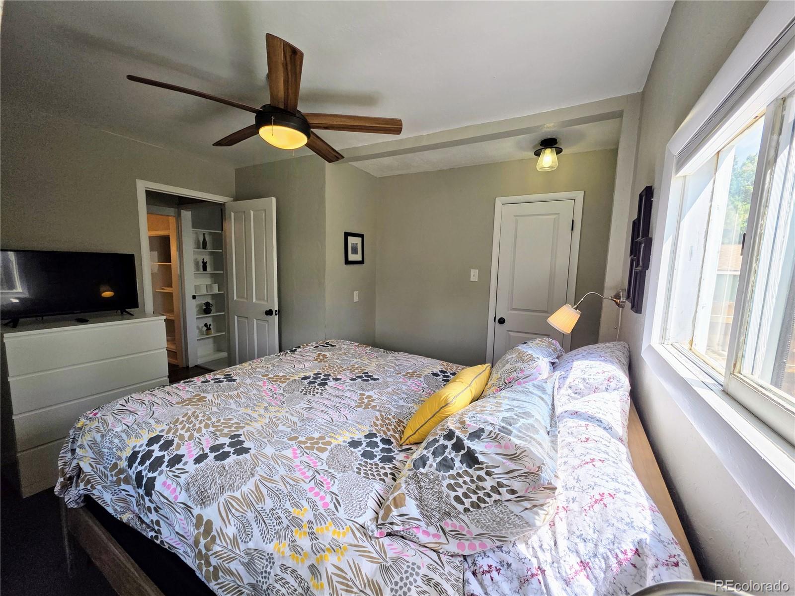 MLS Image #10 for 313 w arkansas street,buena vista, Colorado