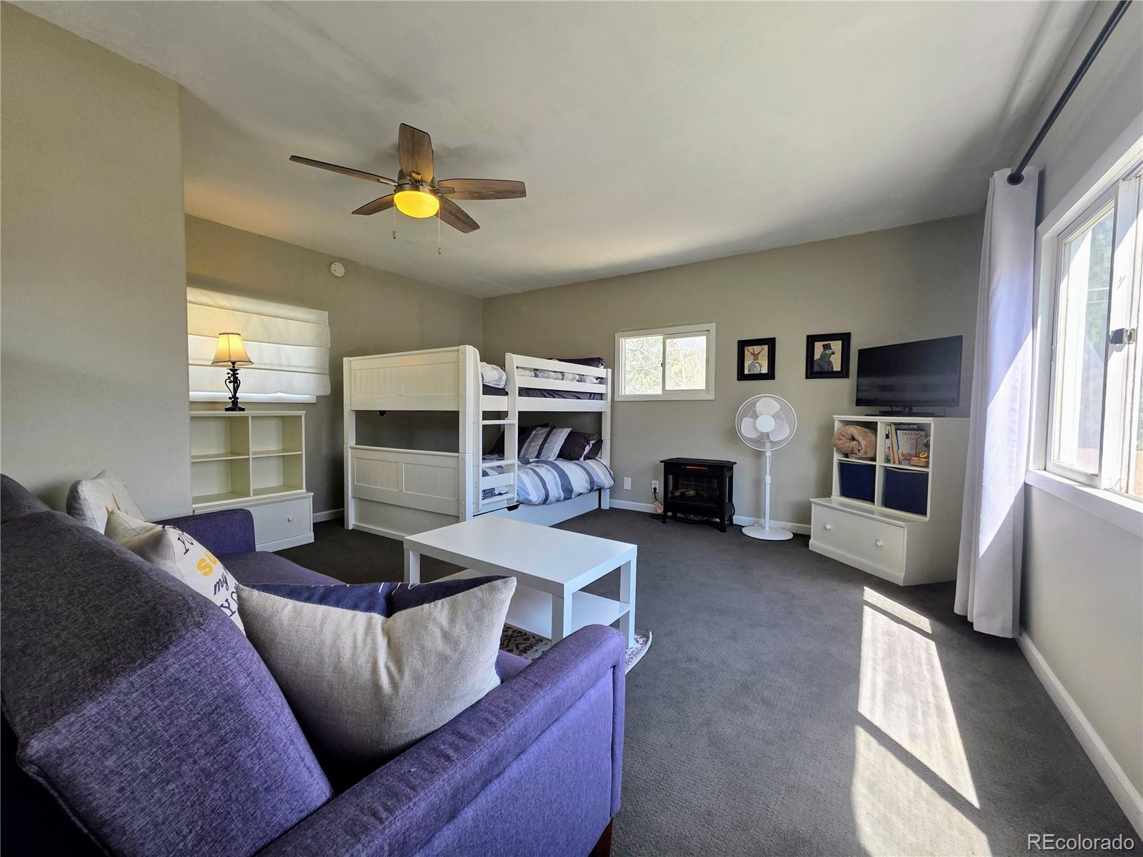 MLS Image #12 for 313 w arkansas street,buena vista, Colorado