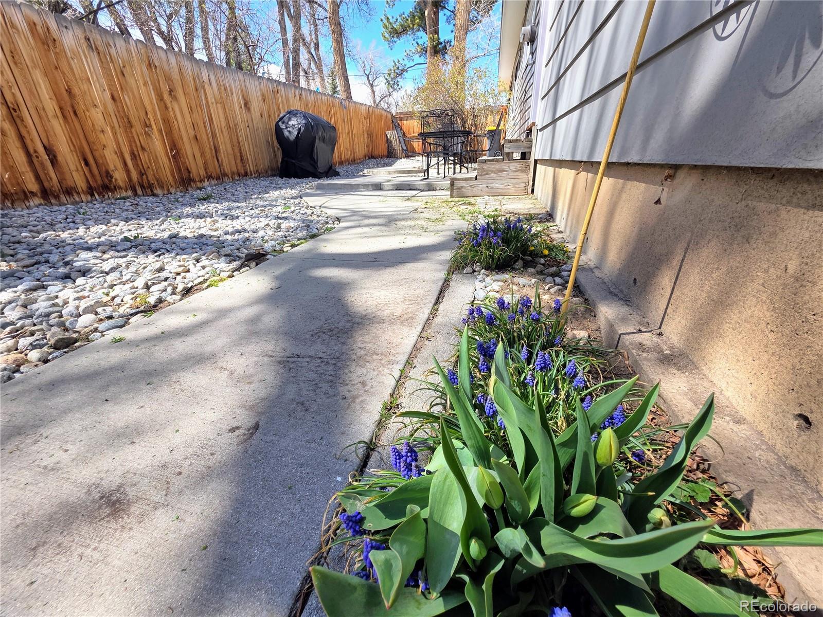 MLS Image #23 for 313 w arkansas street,buena vista, Colorado