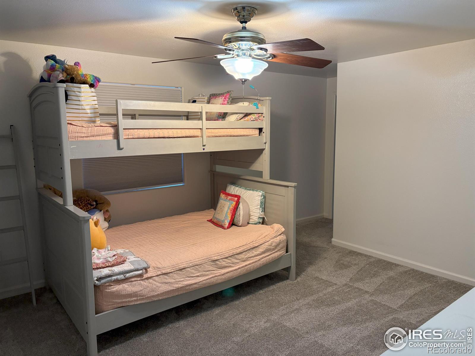 MLS Image #18 for 318 e iowa avenue,berthoud, Colorado