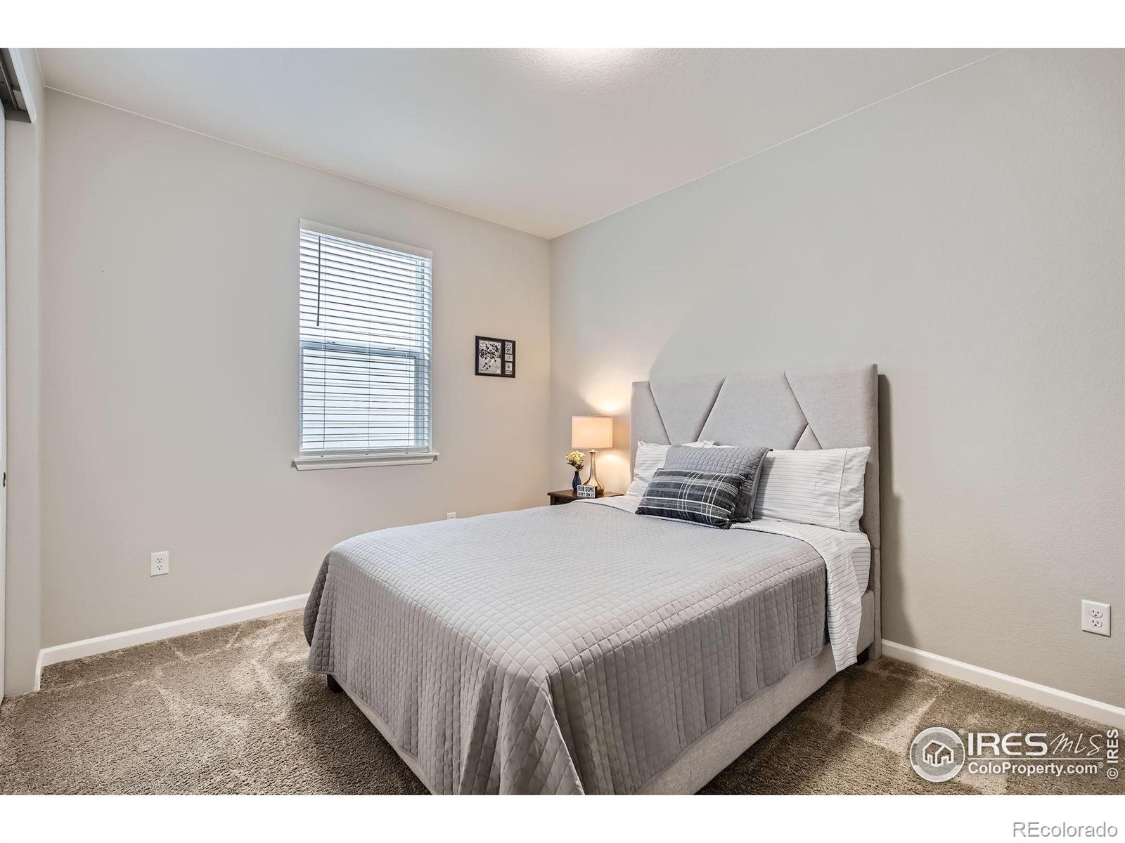 MLS Image #20 for 1916  high plains drive,longmont, Colorado