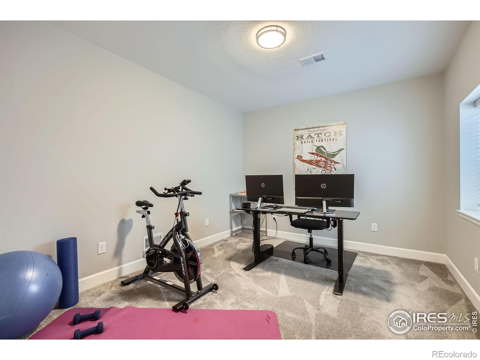 MLS Image #31 for 1916  high plains drive,longmont, Colorado