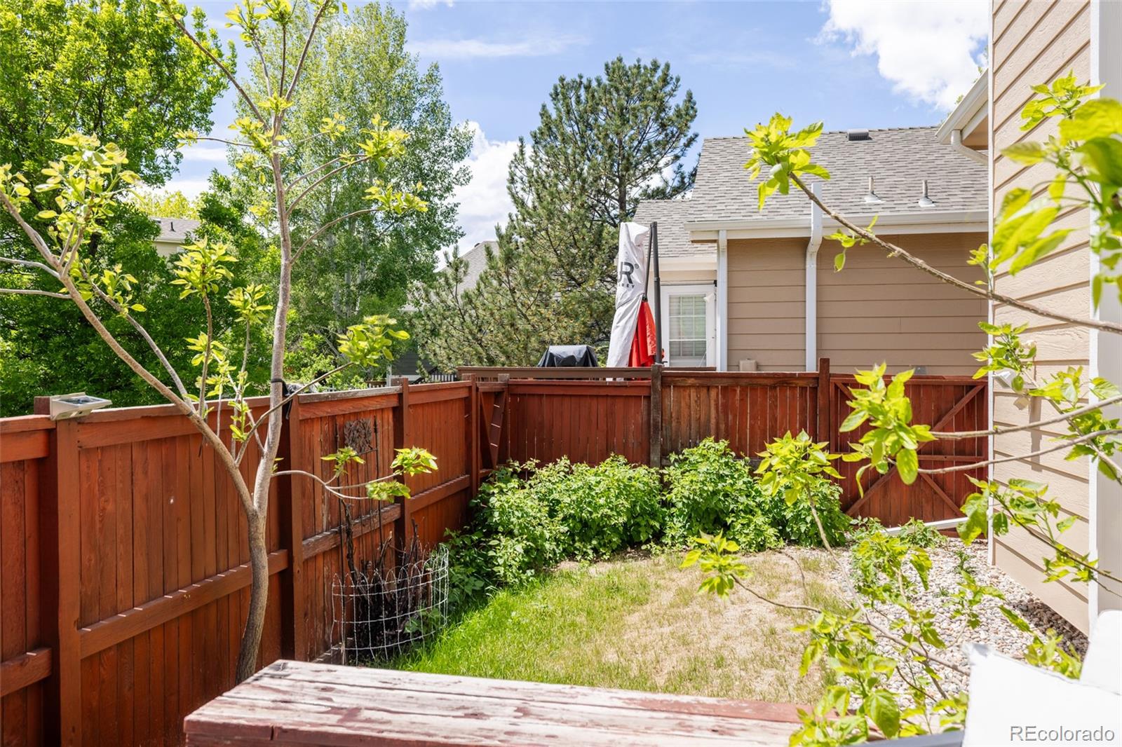 MLS Image #22 for 1157  belleview drive,fort collins, Colorado