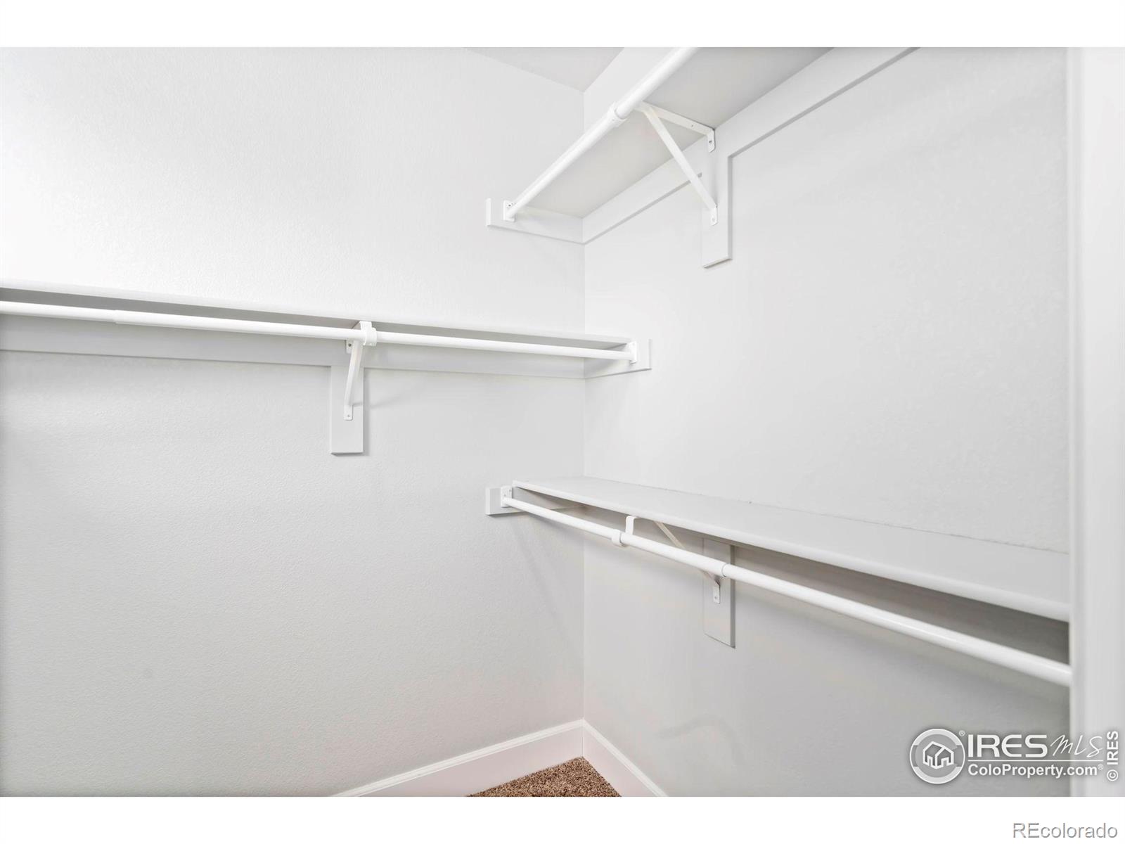 MLS Image #15 for 3903  mount oxford street,wellington, Colorado