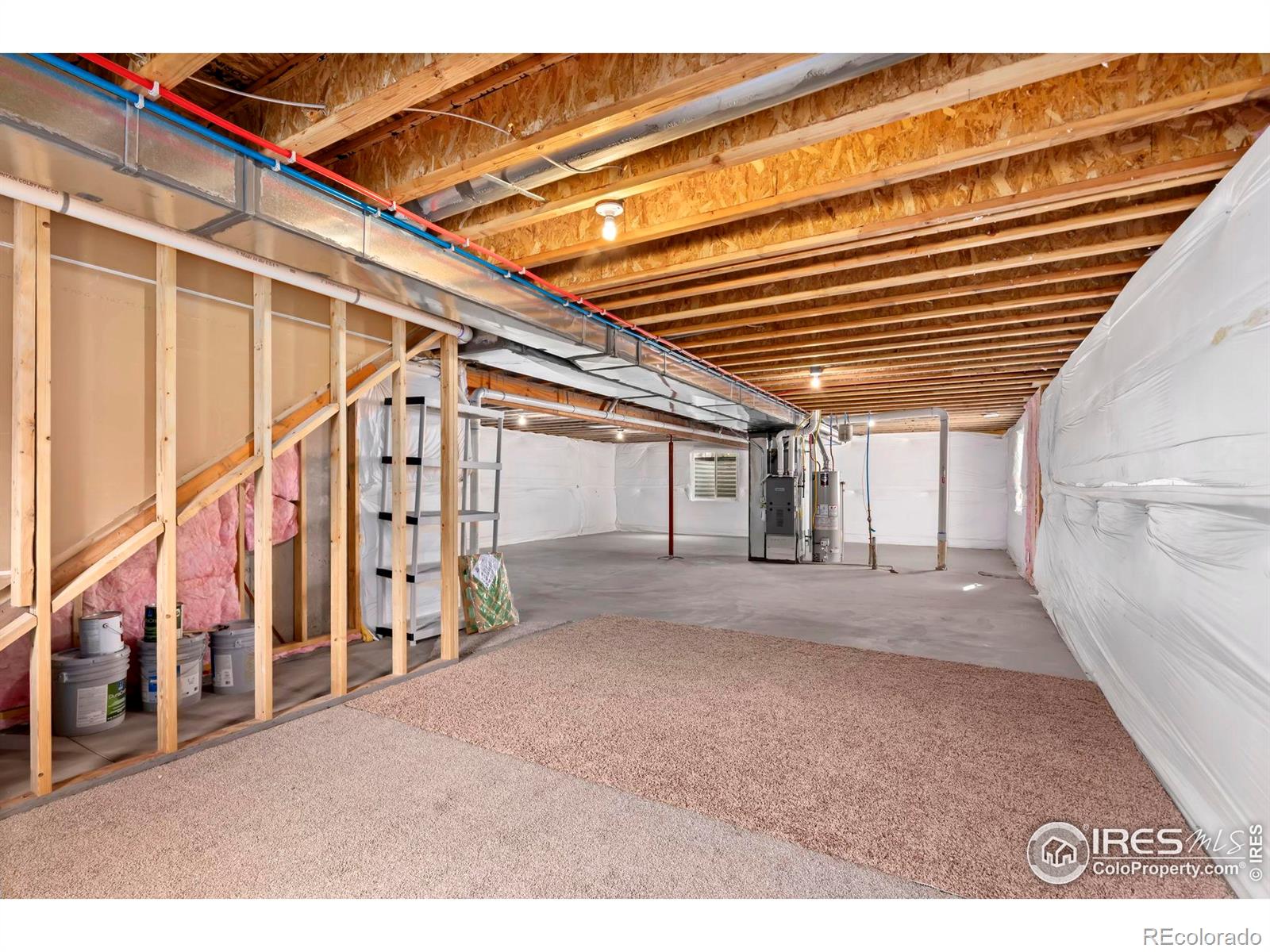 MLS Image #24 for 3903  mount oxford street,wellington, Colorado
