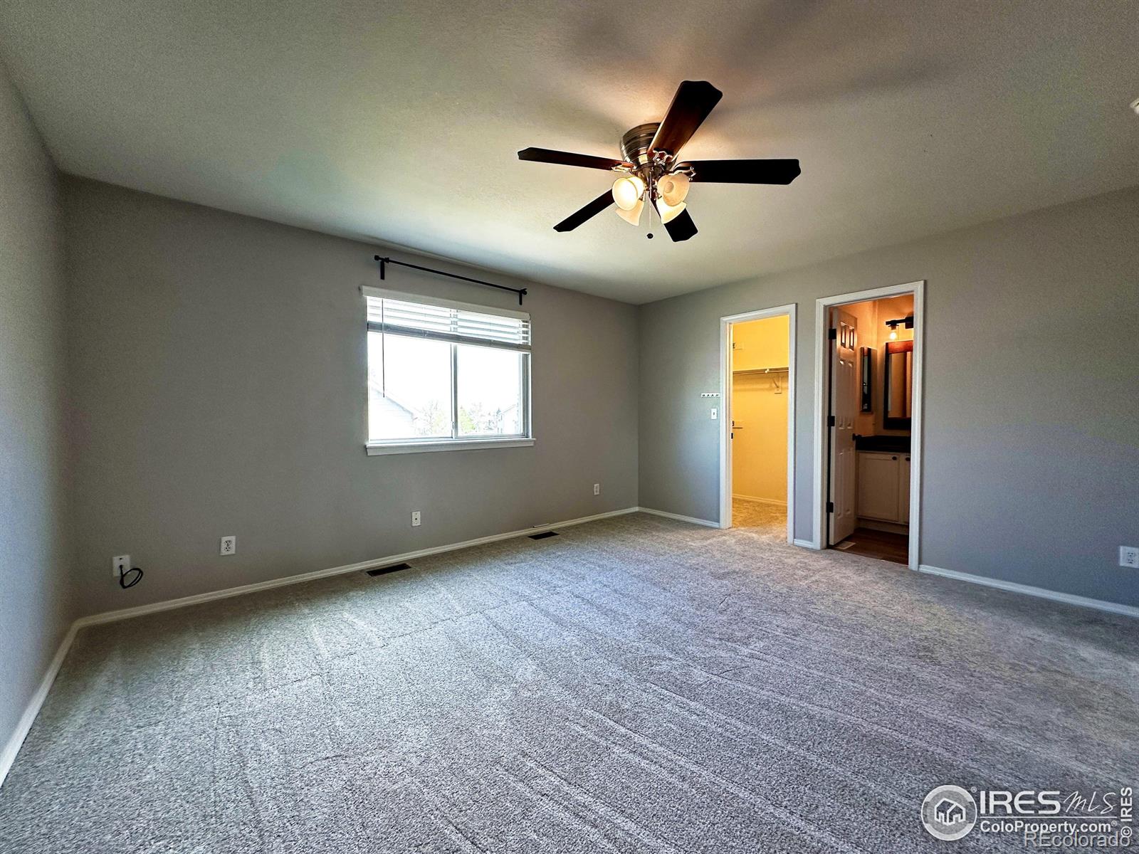 MLS Image #10 for 6502  carmichael street,fort collins, Colorado