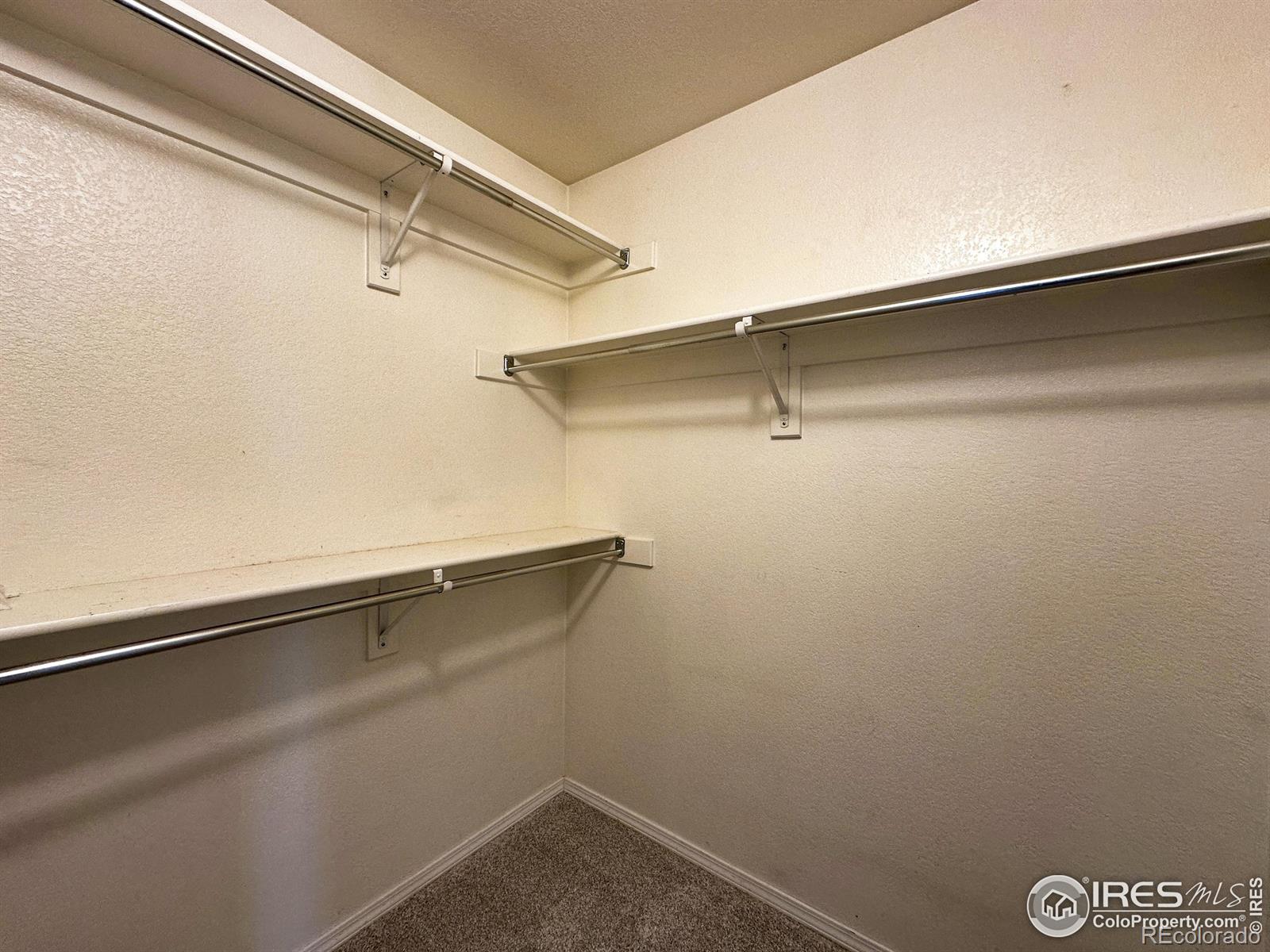 MLS Image #13 for 6502  carmichael street,fort collins, Colorado