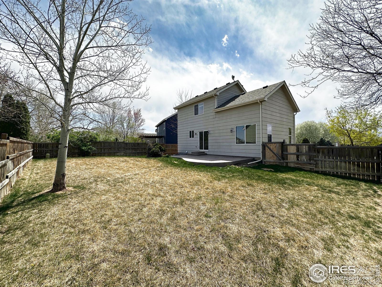 MLS Image #26 for 6502  carmichael street,fort collins, Colorado