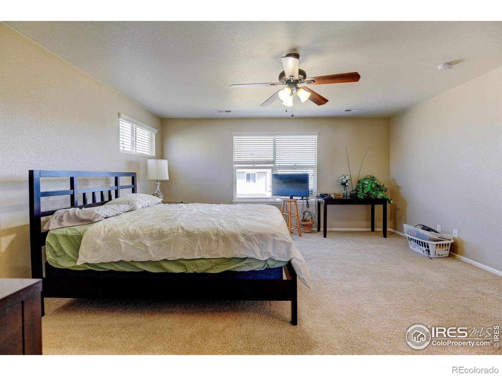 MLS Image #14 for 1565  harpendon court,windsor, Colorado