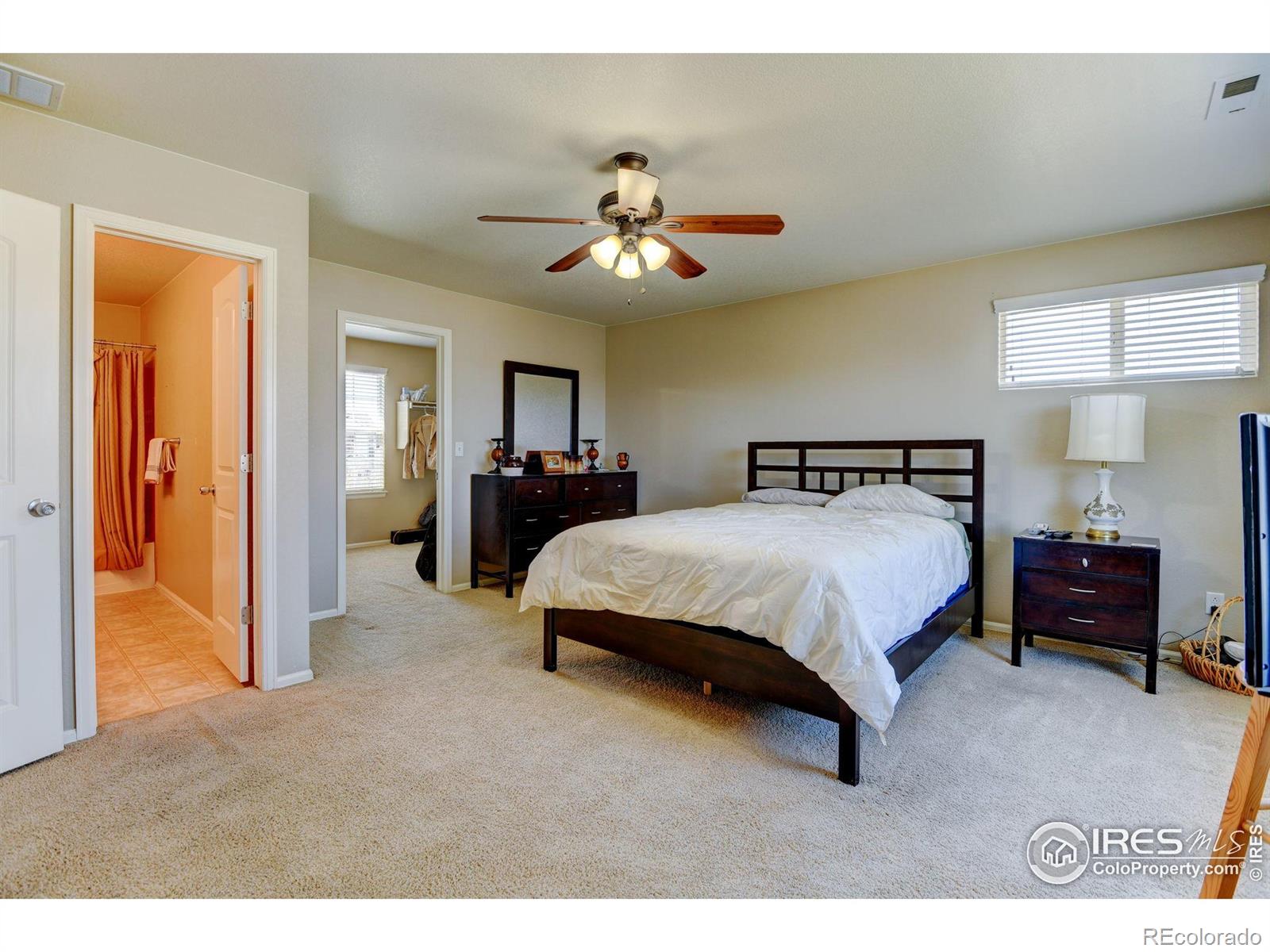 MLS Image #16 for 1565  harpendon court,windsor, Colorado