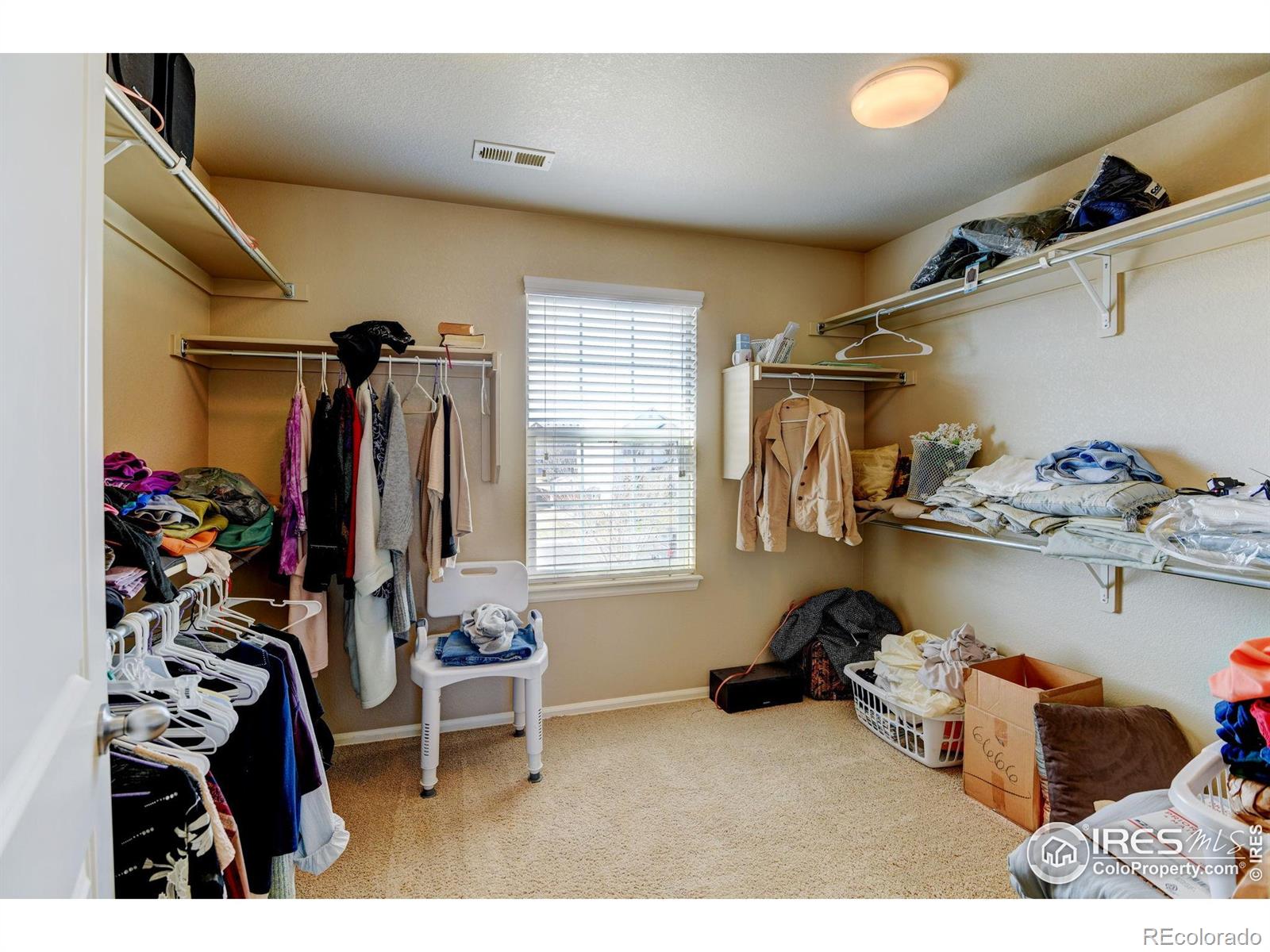MLS Image #17 for 1565  harpendon court,windsor, Colorado