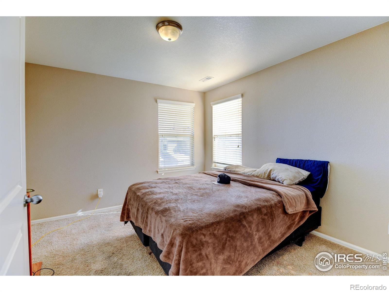 MLS Image #19 for 1565  harpendon court,windsor, Colorado