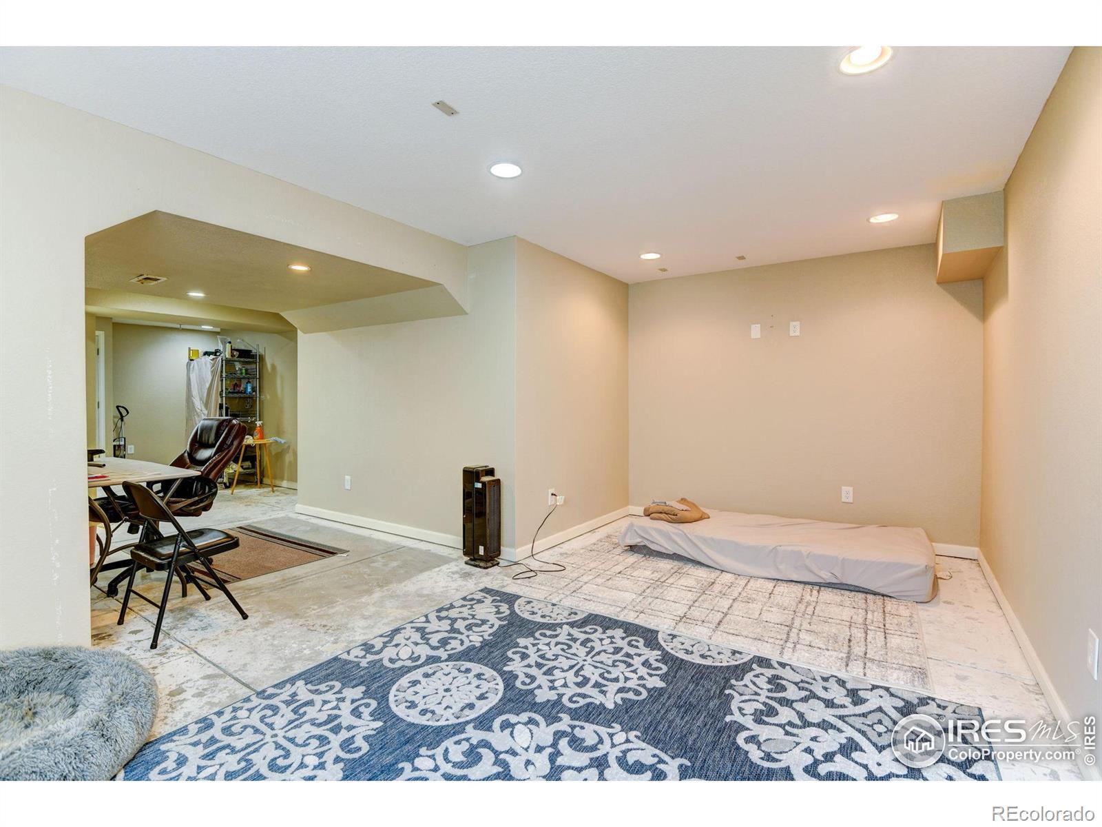 MLS Image #26 for 1565  harpendon court,windsor, Colorado