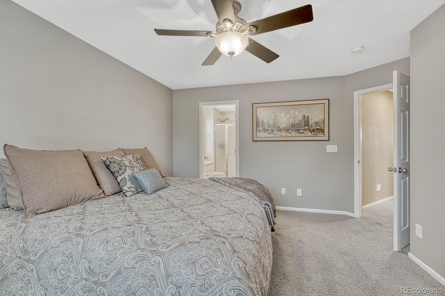 MLS Image #31 for 2618  bellavista street,castle rock, Colorado