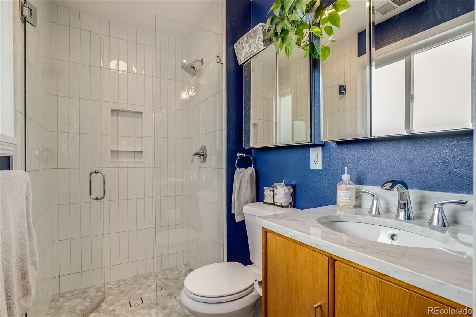 MLS Image #18 for 6741 s franklin street,centennial, Colorado