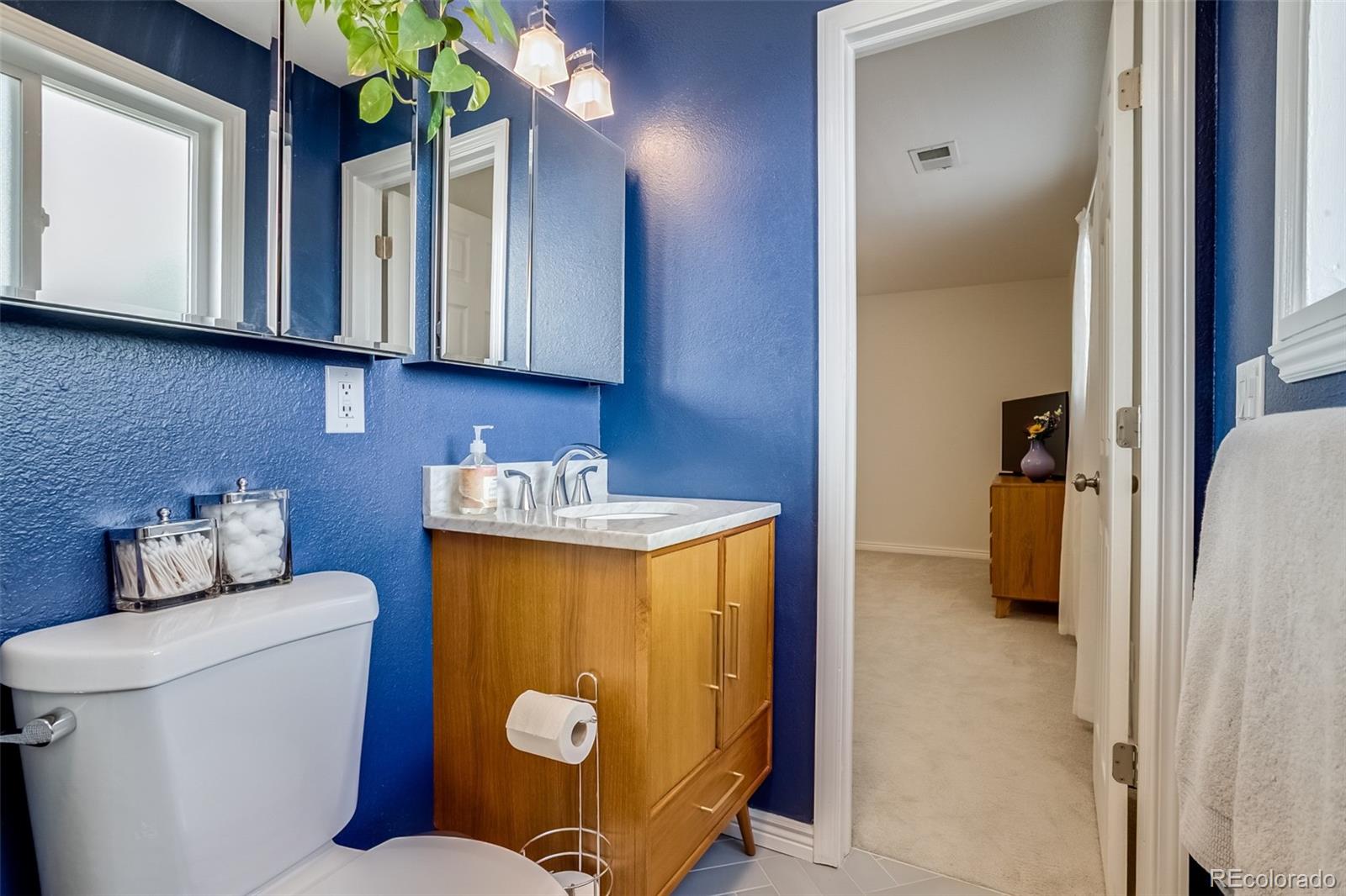 MLS Image #19 for 6741 s franklin street,centennial, Colorado