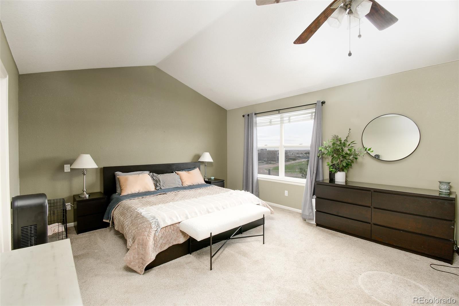 MLS Image #15 for 9786  malachite court,parker, Colorado