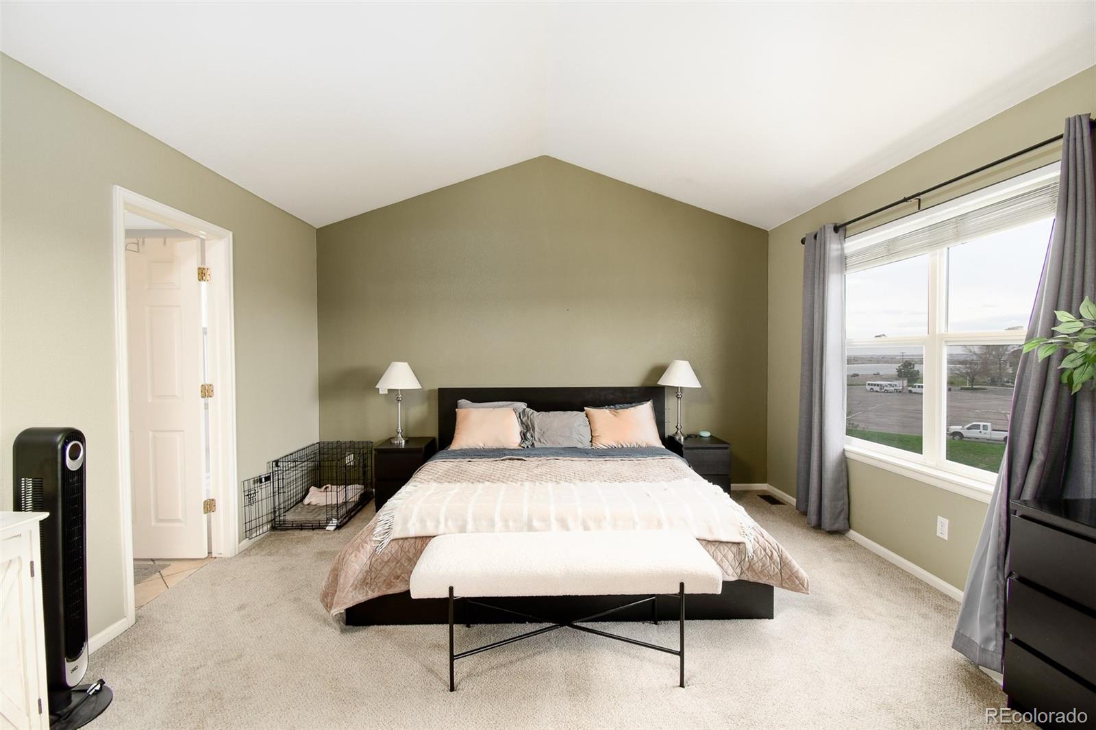MLS Image #16 for 9786  malachite court,parker, Colorado