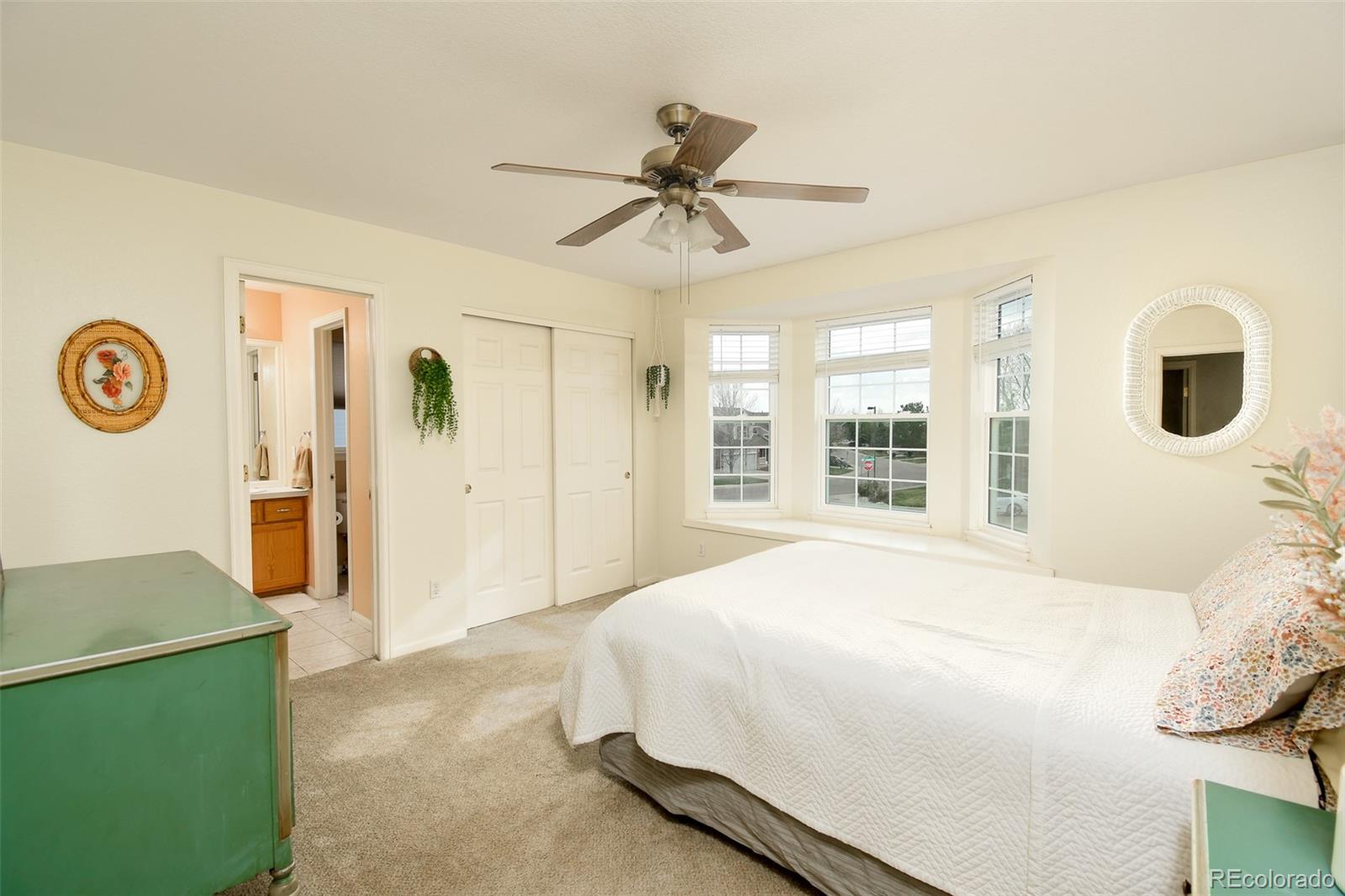MLS Image #19 for 9786  malachite court,parker, Colorado