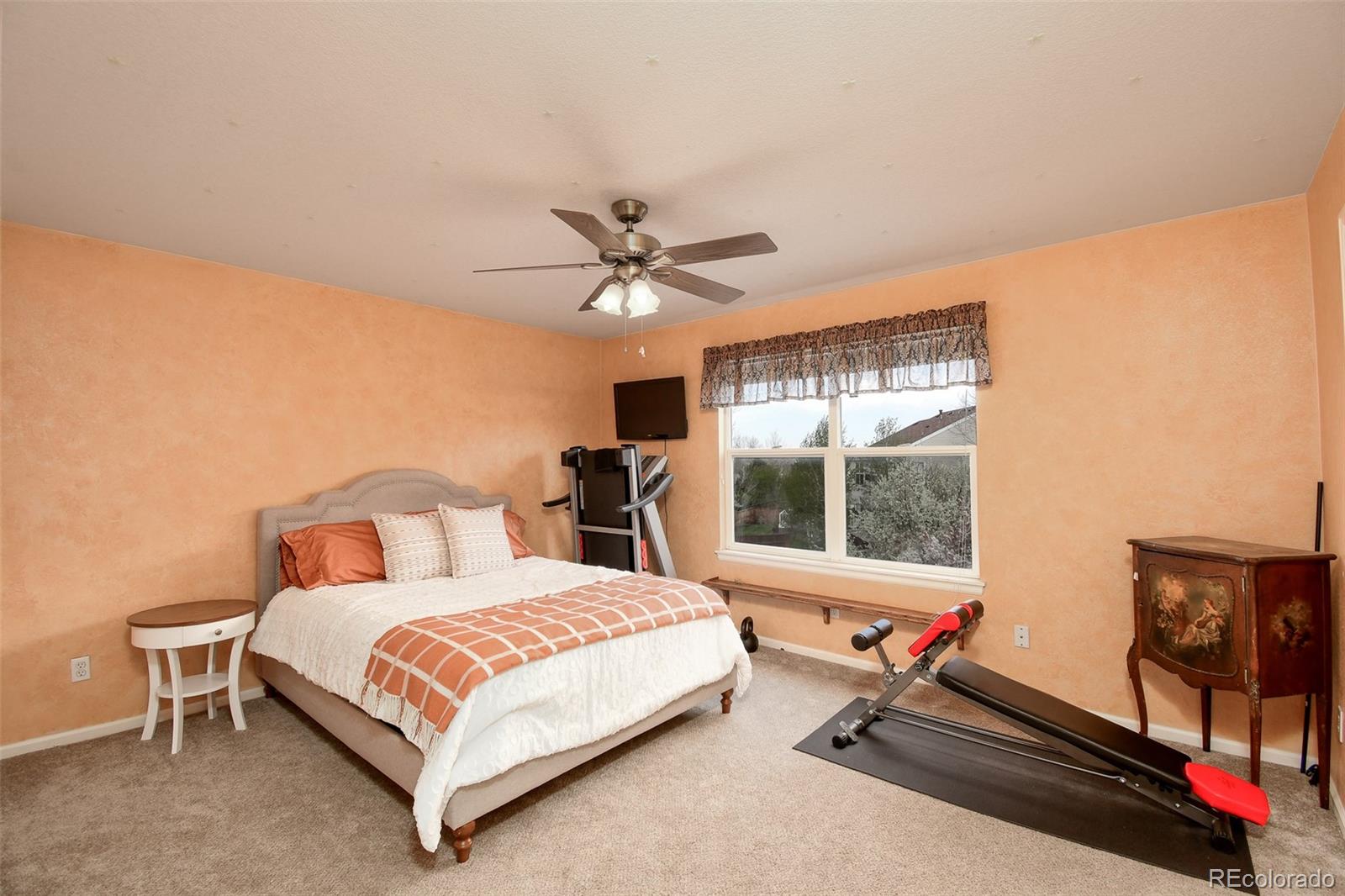 MLS Image #22 for 9786  malachite court,parker, Colorado