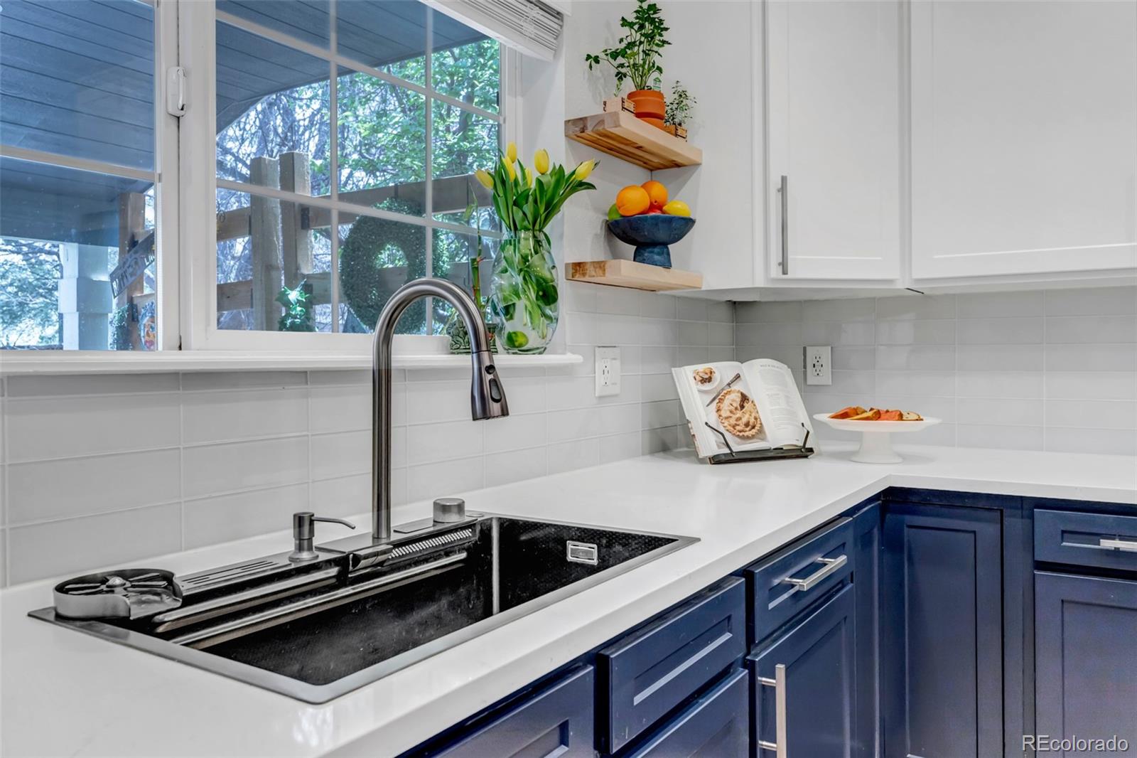 MLS Image #21 for 10046  brisbane lane,highlands ranch, Colorado