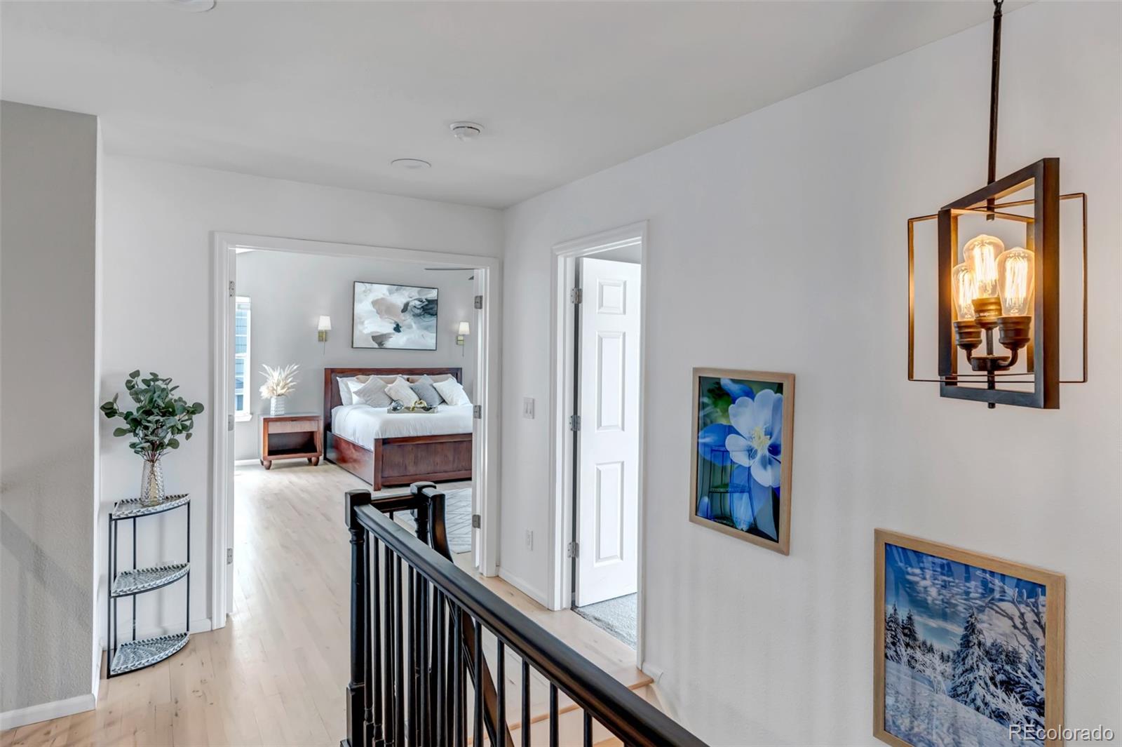 MLS Image #26 for 10046  brisbane lane,highlands ranch, Colorado