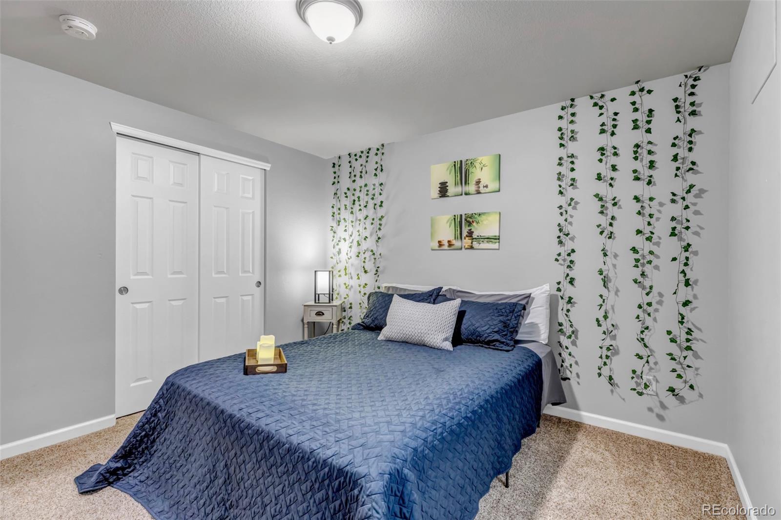 MLS Image #42 for 10046  brisbane lane,highlands ranch, Colorado