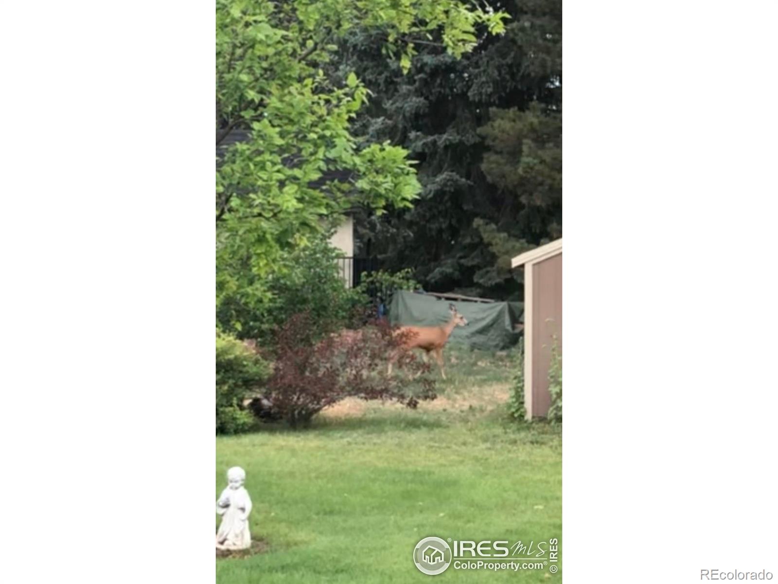 MLS Image #35 for 1913  homestead road,greeley, Colorado