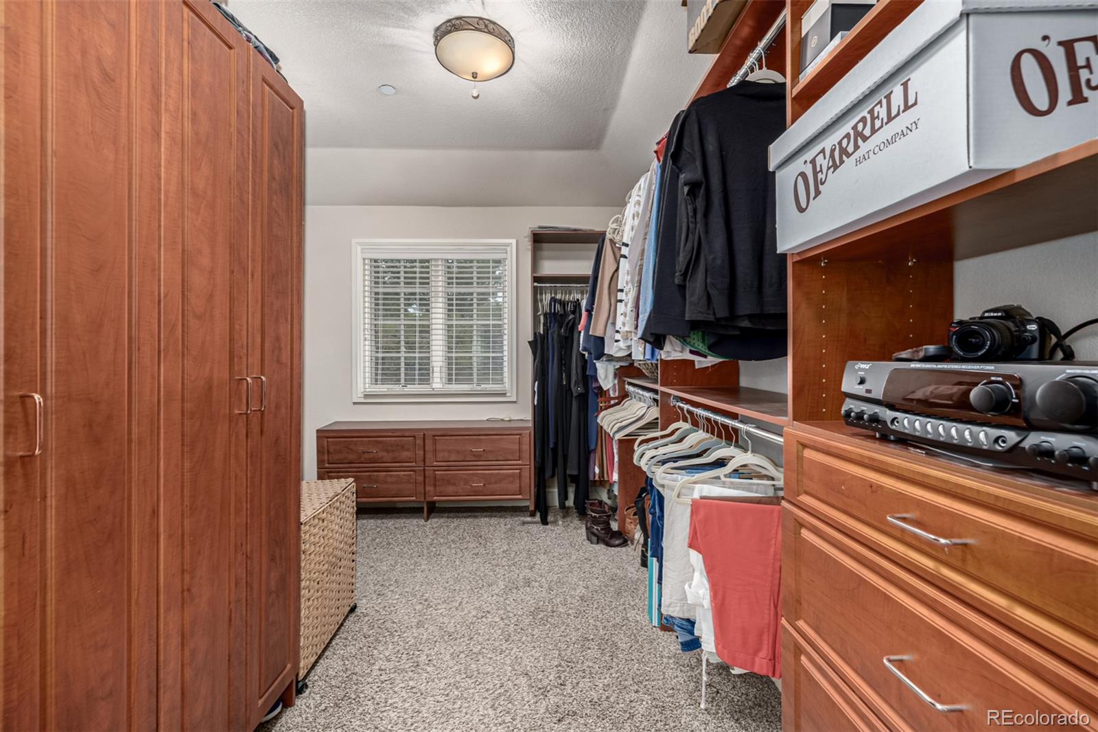 MLS Image #25 for 648  ruby trust drive,castle rock, Colorado