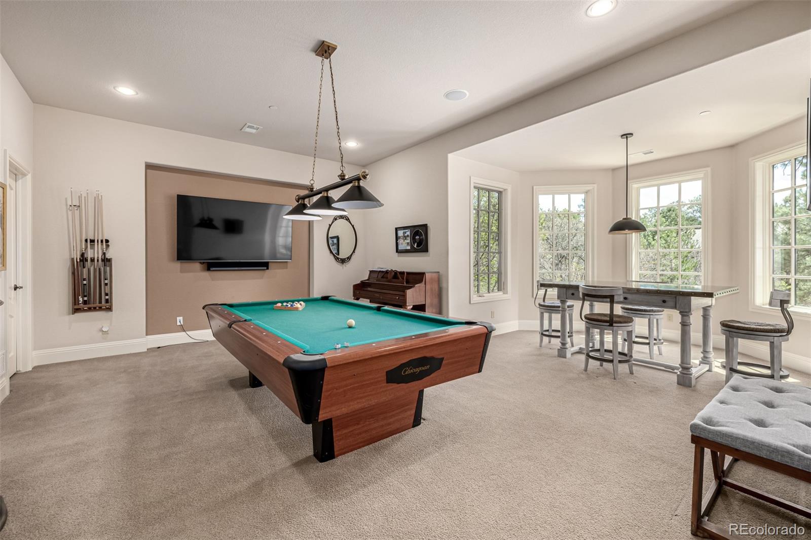 MLS Image #35 for 648  ruby trust drive,castle rock, Colorado