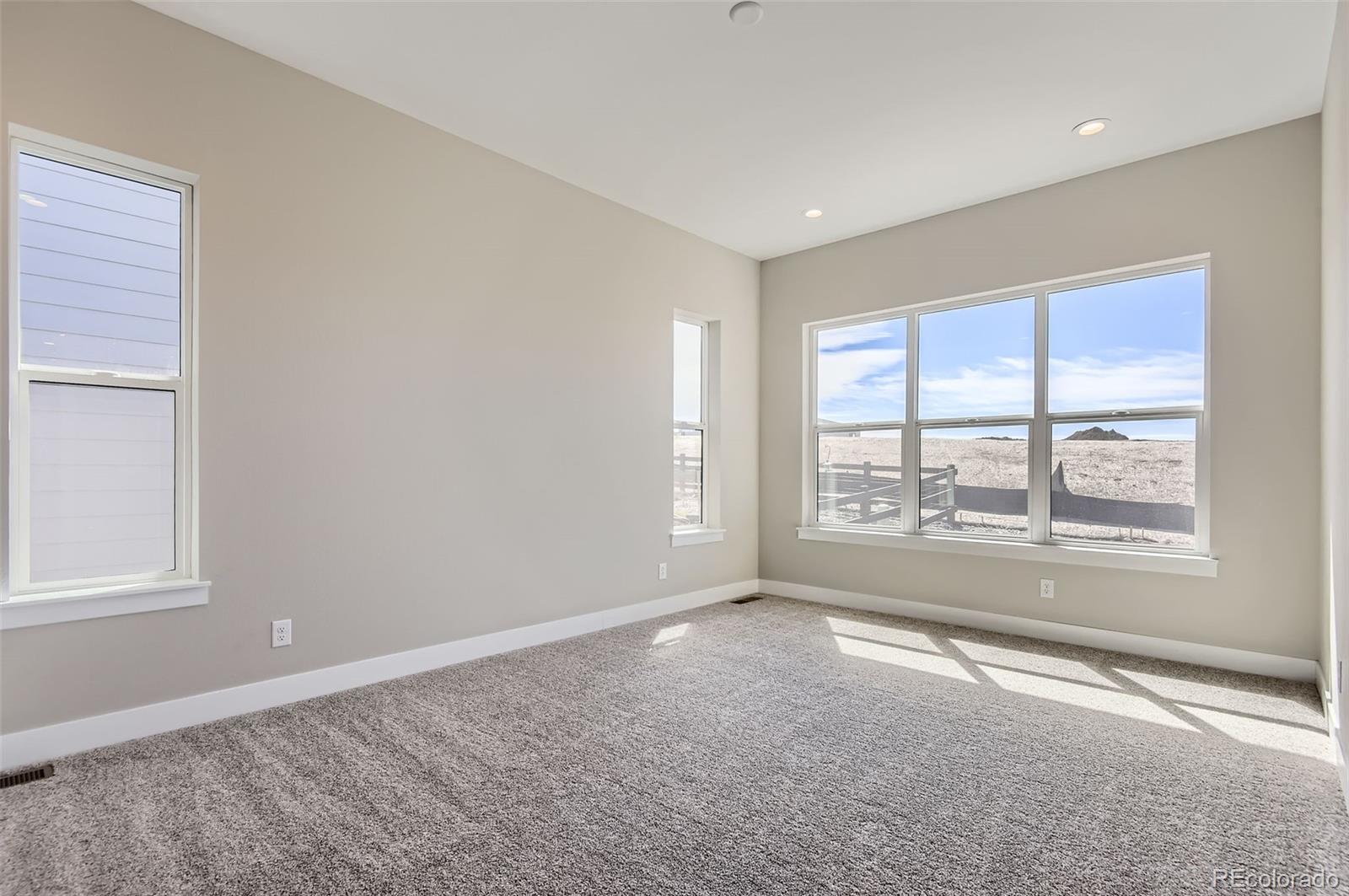 MLS Image #12 for 119  leafy aster lane,castle rock, Colorado