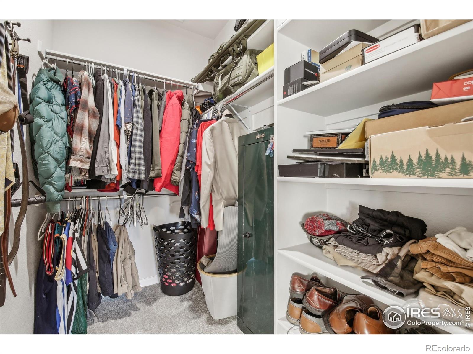 MLS Image #14 for 1485 s lotus drive,milliken, Colorado