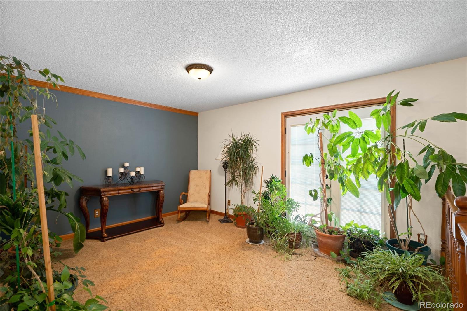MLS Image #15 for 11011  kendall way,westminster, Colorado