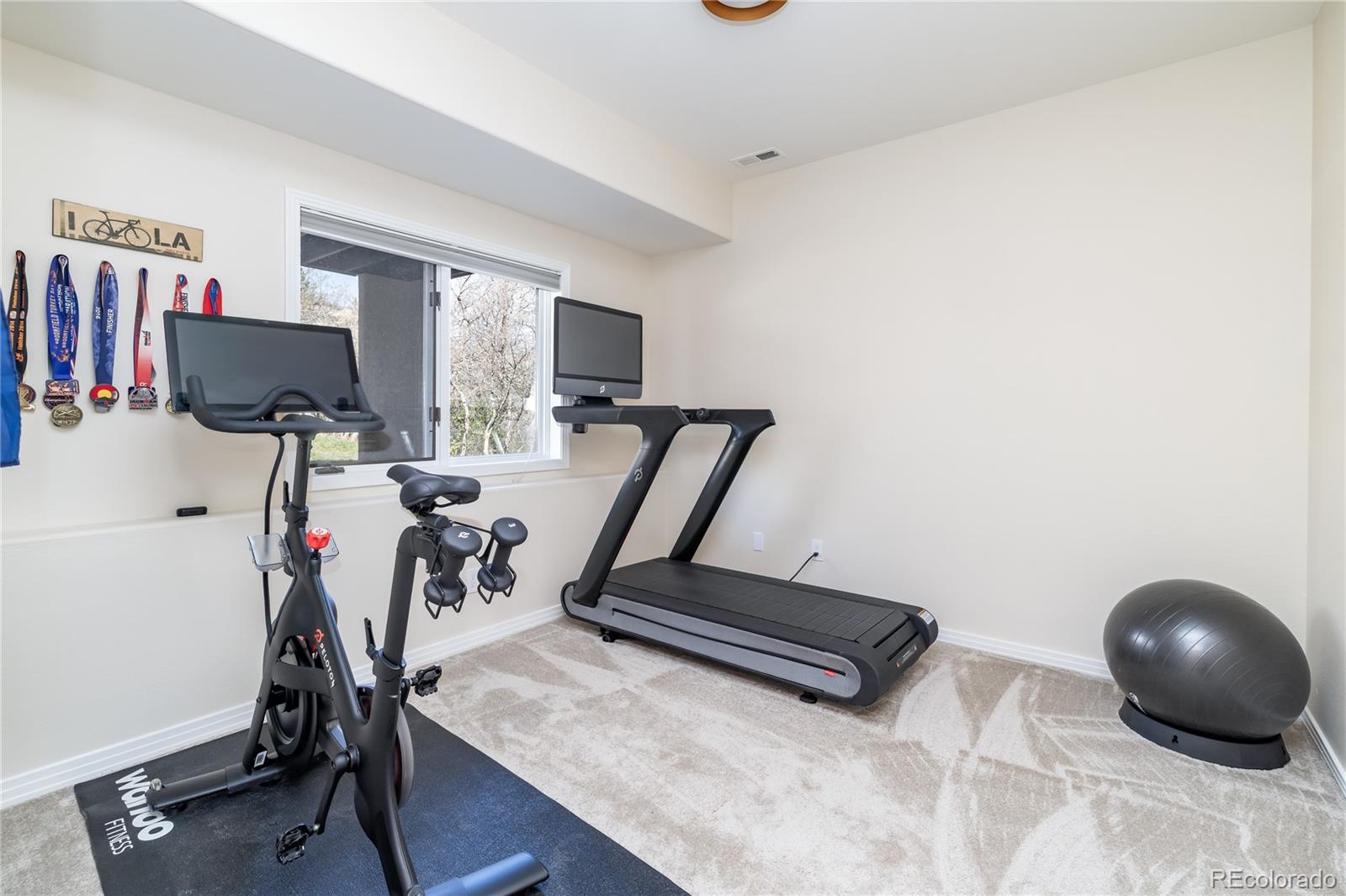 MLS Image #43 for 5668  red fern court,littleton, Colorado