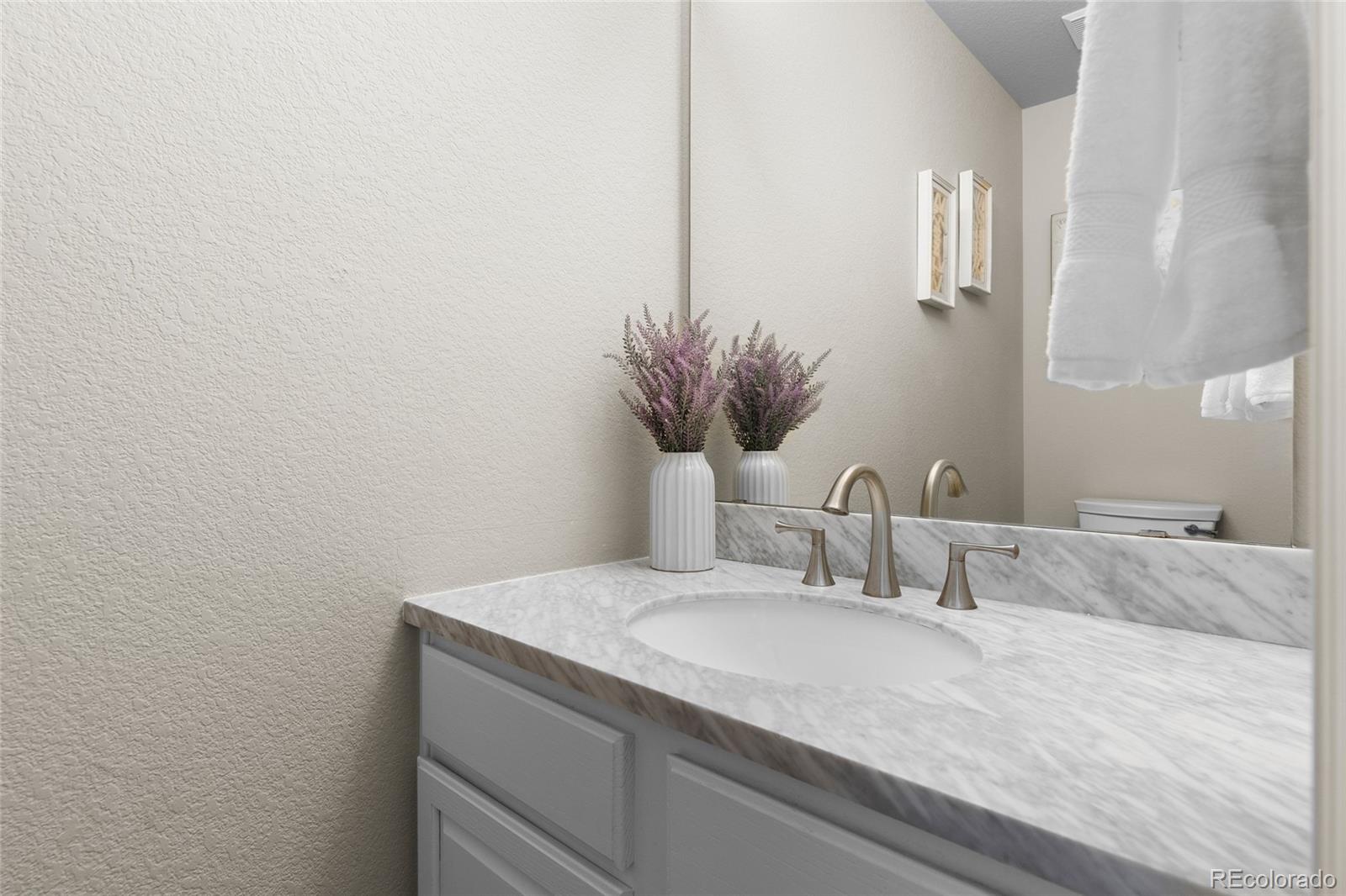 MLS Image #17 for 20650  parker vista circle,parker, Colorado